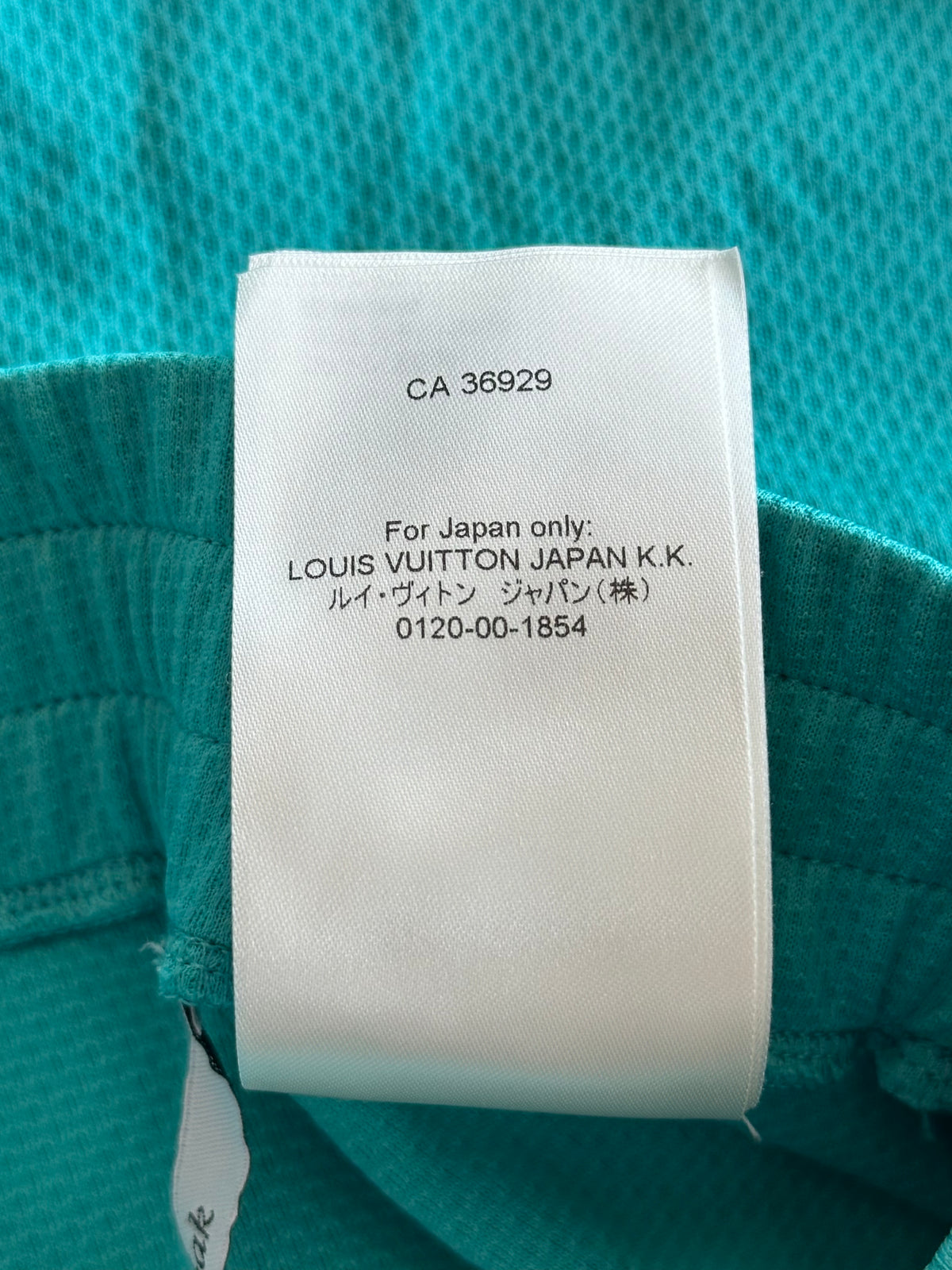Louis Vuitton Turquoise Lightning Logo Shorts