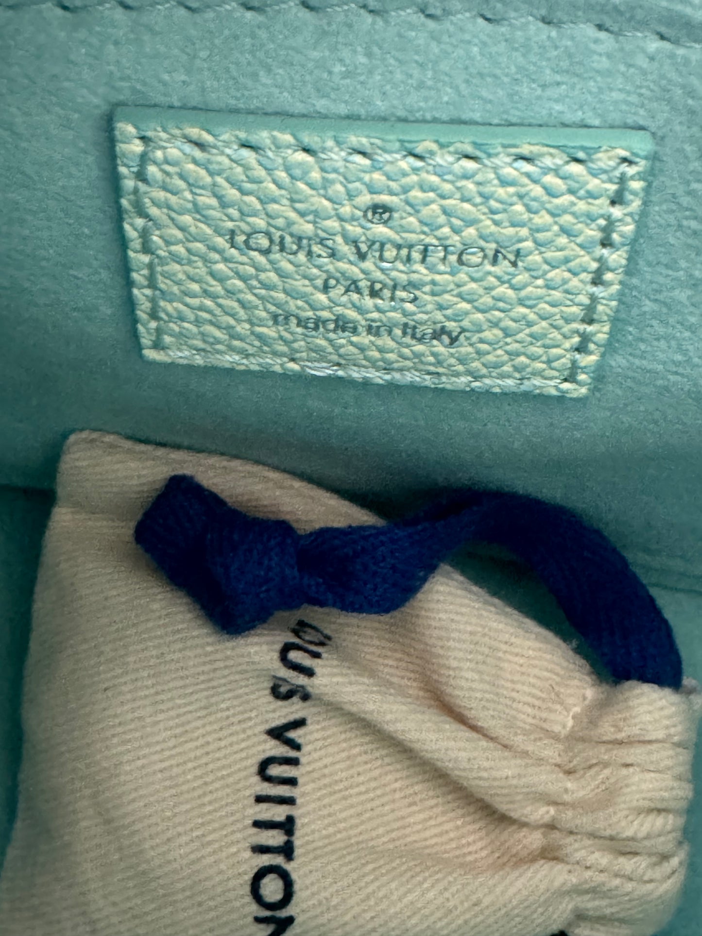 Louis Vuitton Stardust Green Empreinte Monogram Speedy 20