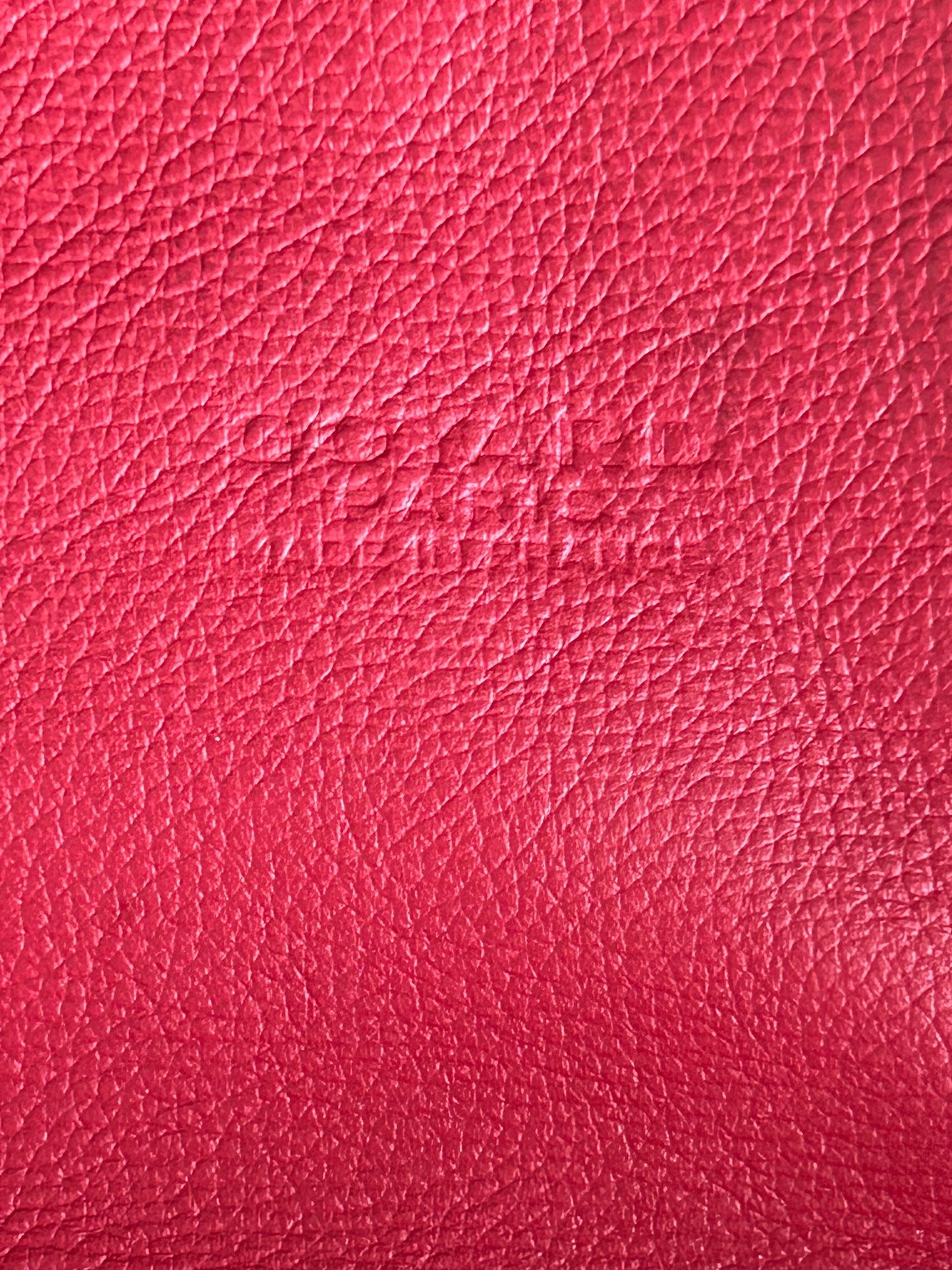 Goyard Red Saint Leger Backpack
