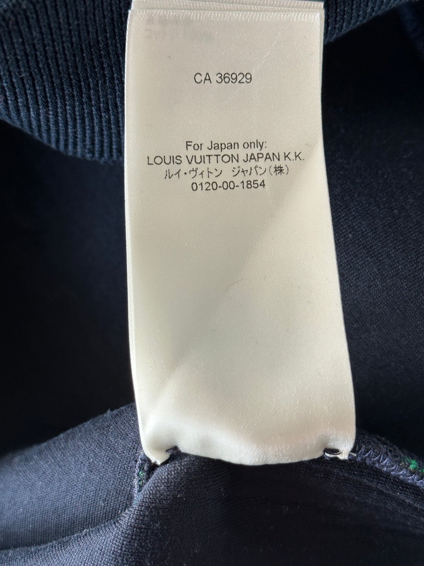 Louis Vuitton Blue & Green Gradient Monogram Sweater