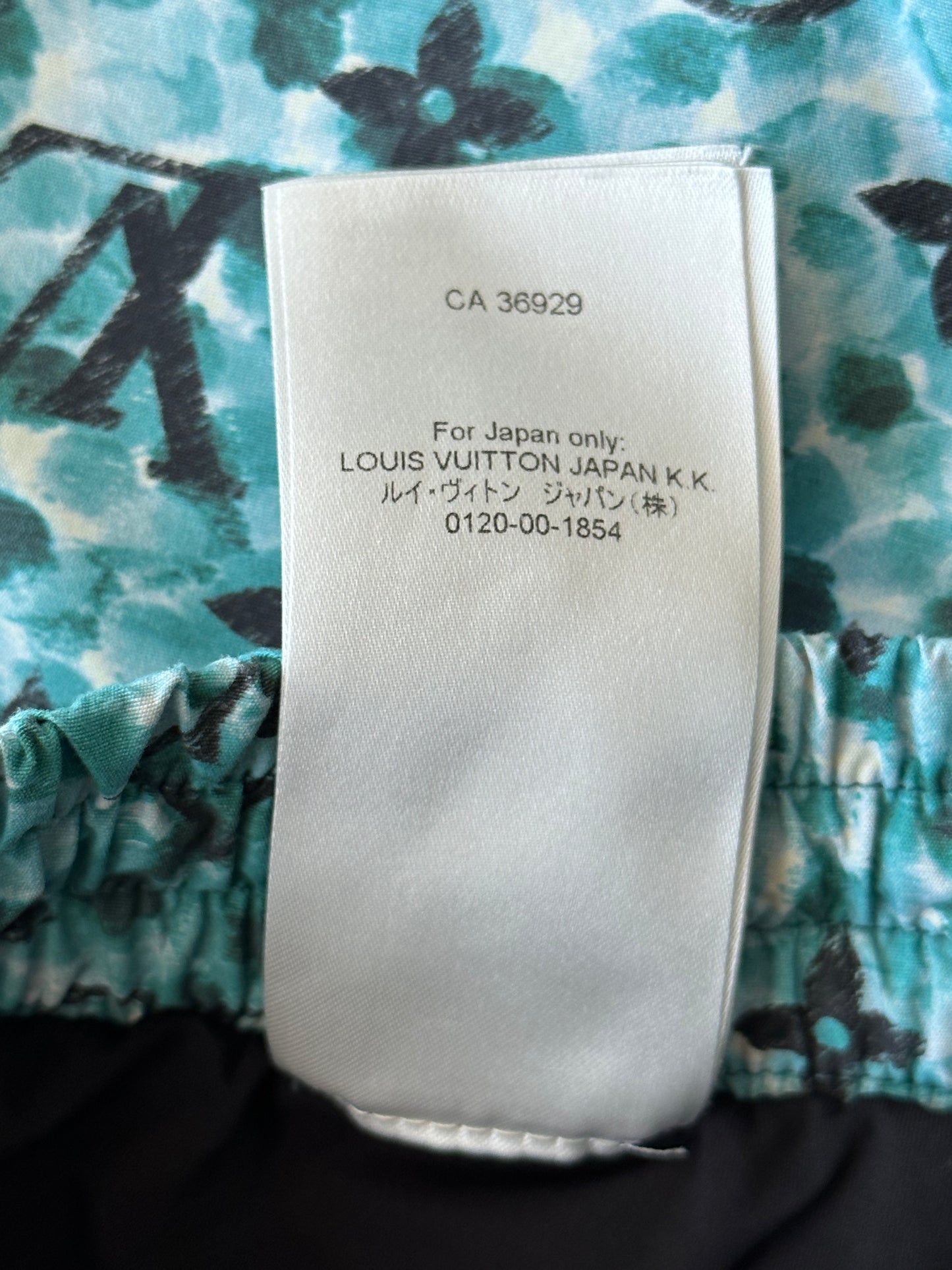 Louis Vuitton Blue Pointillism Monogram Swim Shorts