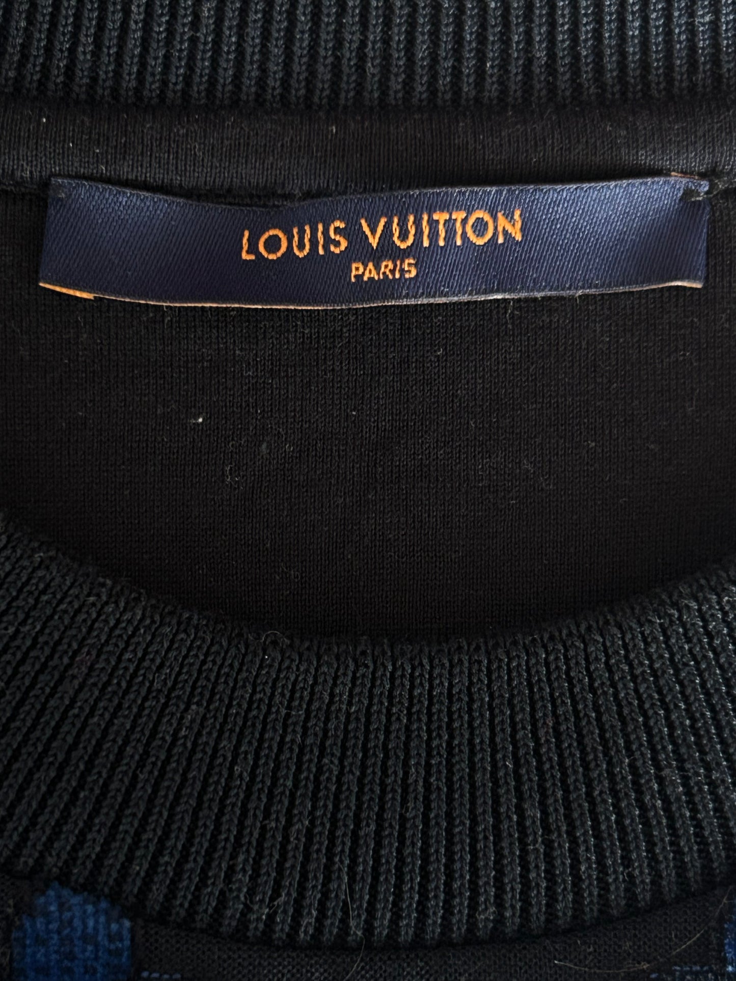 Louis Vuitton Blue & Green Gradient Monogram Sweater