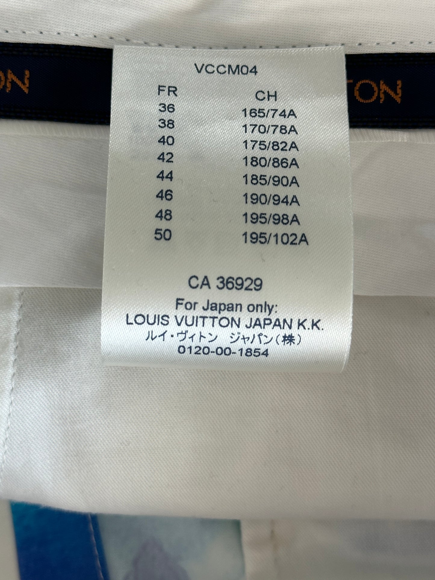 Louis Vuitton Multicolor Watercolor Monogram Shorts