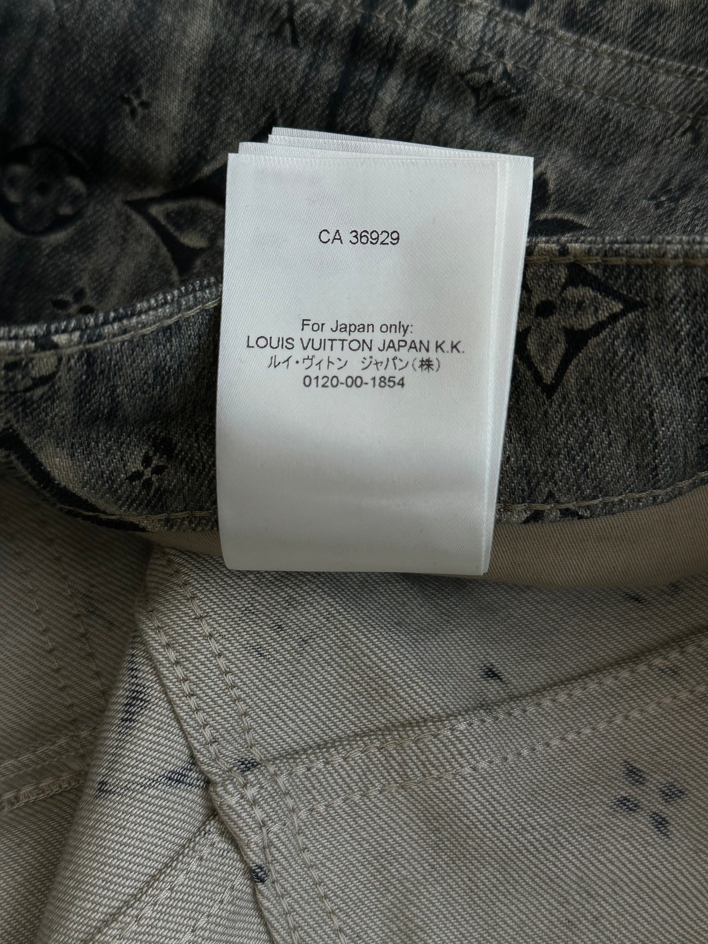 Louis Vuitton Dark Blue Star Monogram Cargo Pants