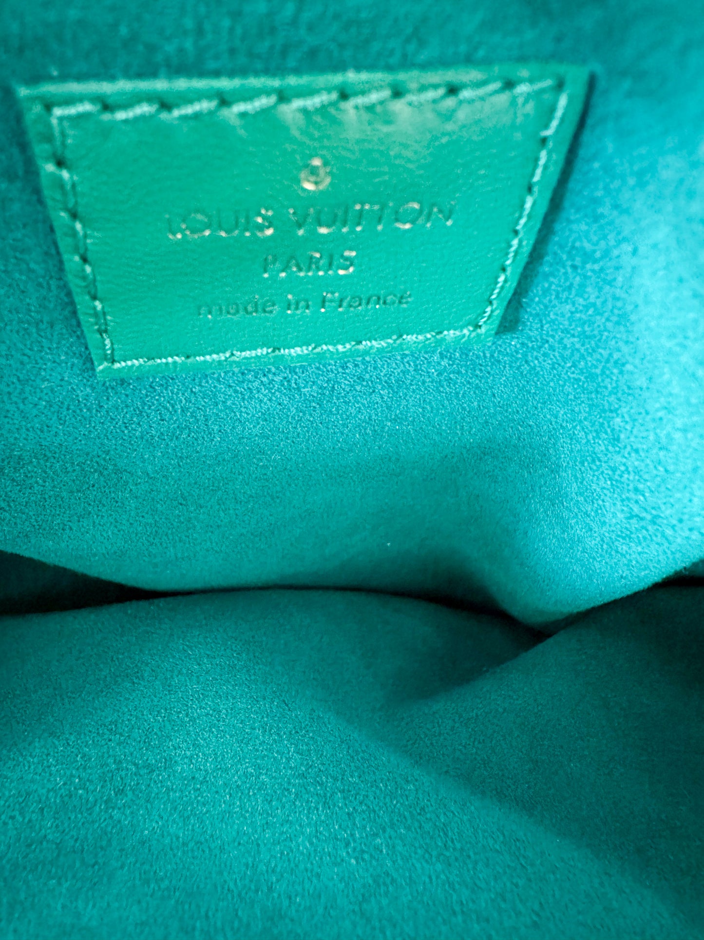 Louis Vuitton Green Monogram Coussins PM