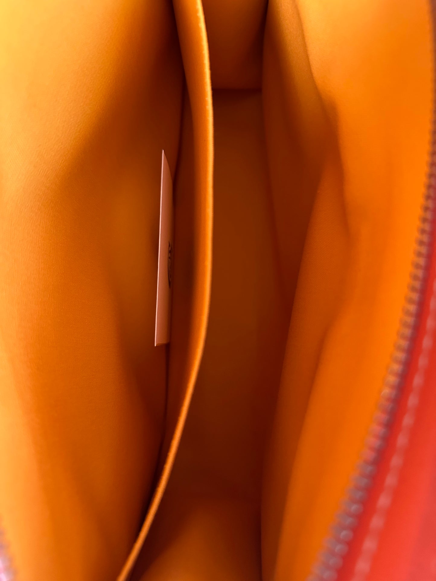 Goyard Orange Jouvence GM Toiletry Bag