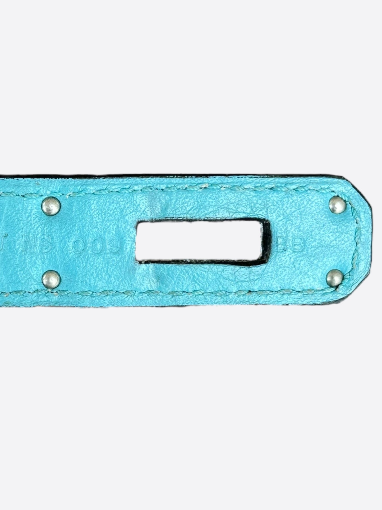 Hermes Tiffany Blue Togo Kelly 32