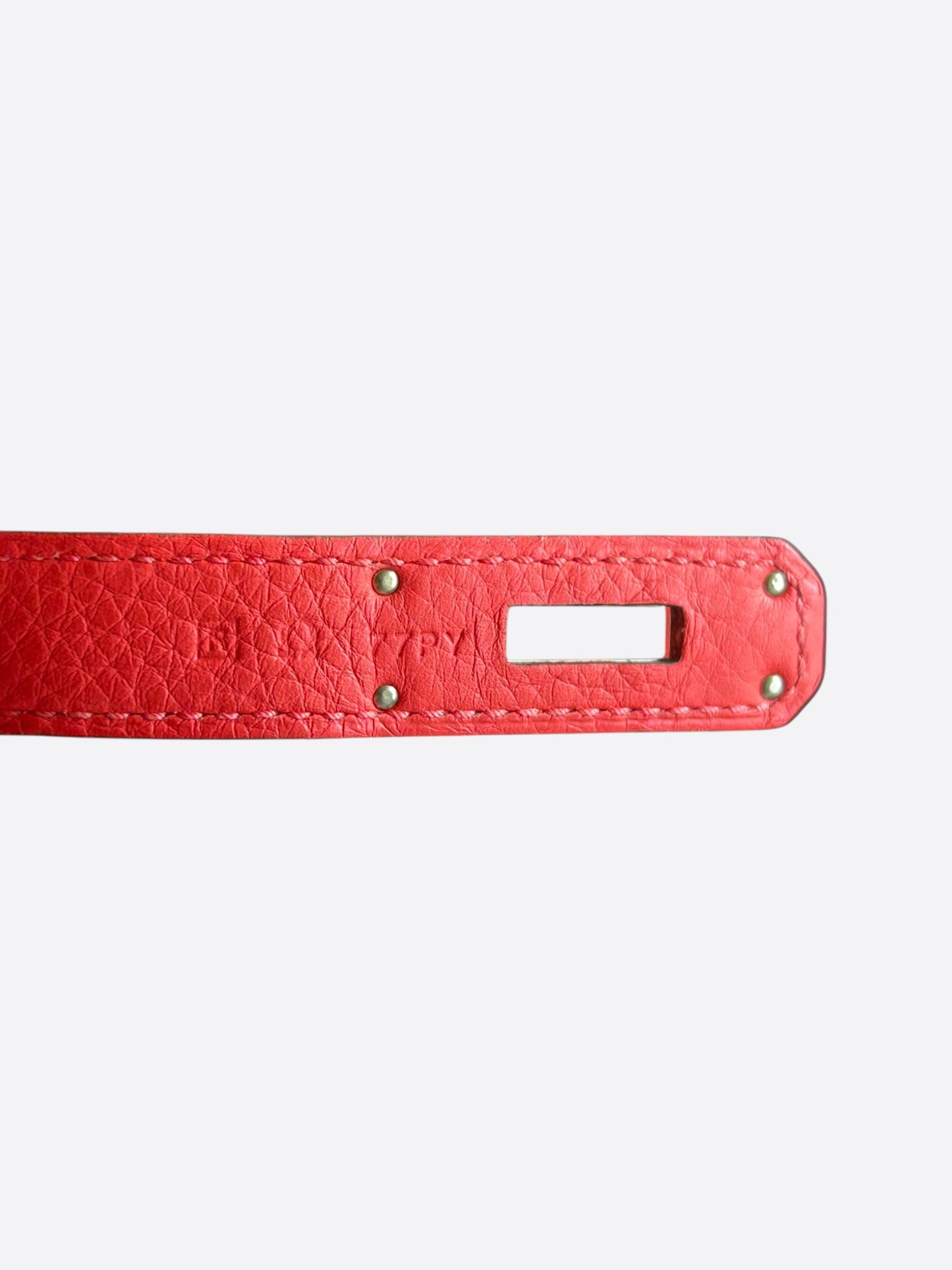 Hermes Watermelon & Palladium Togo Birkin 30
