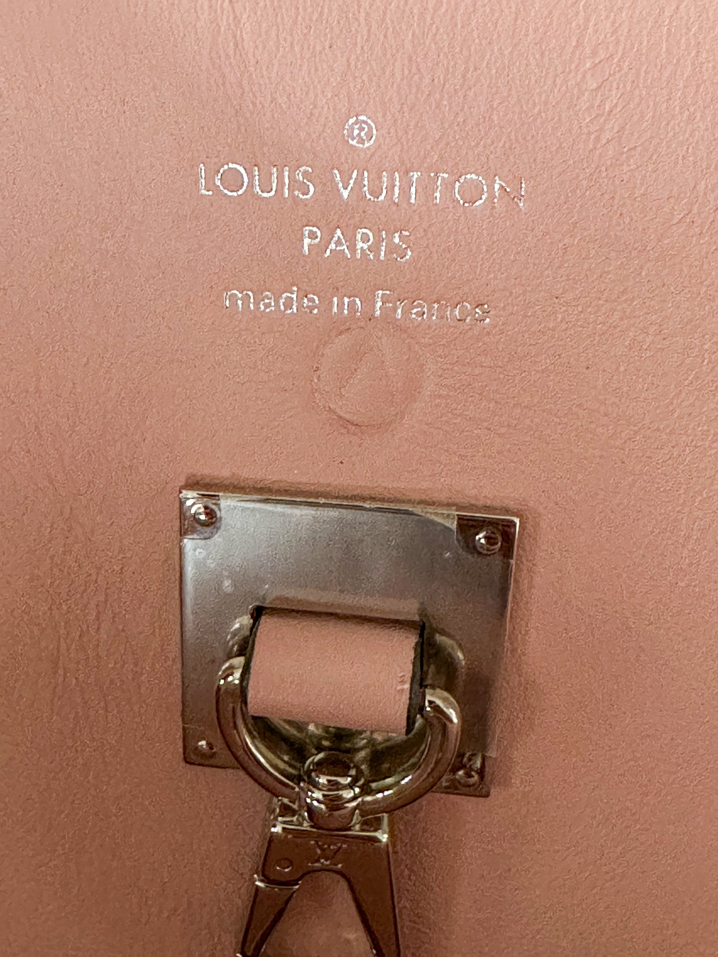 Louis Vuitton Pink Mila Handbag