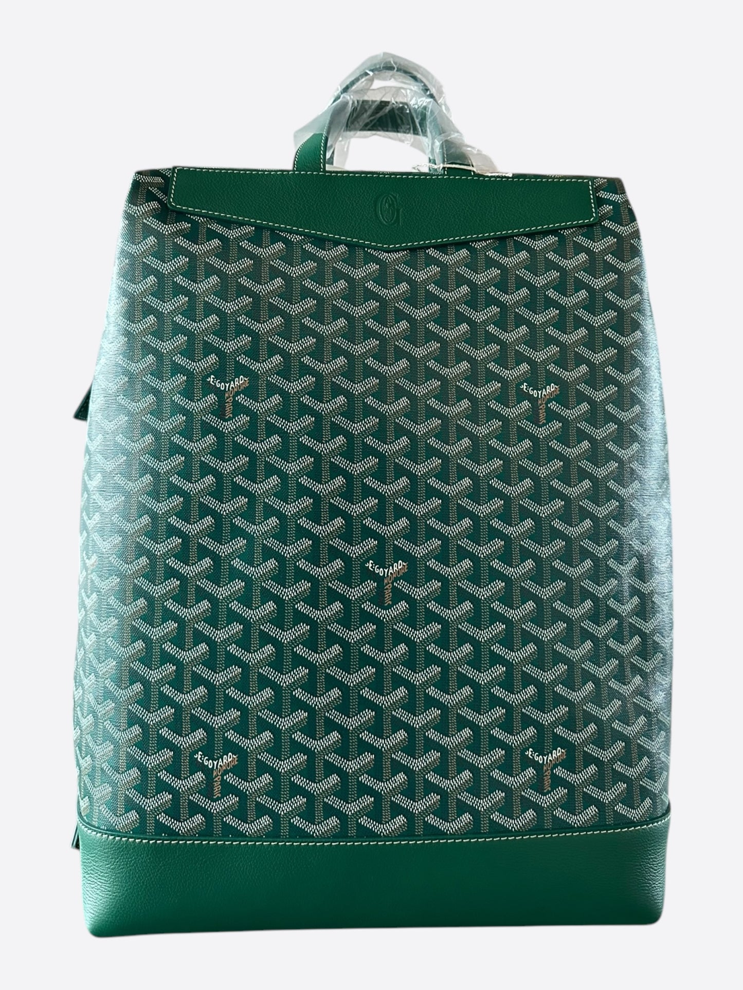 Goyard Green Cisalpin Backpack