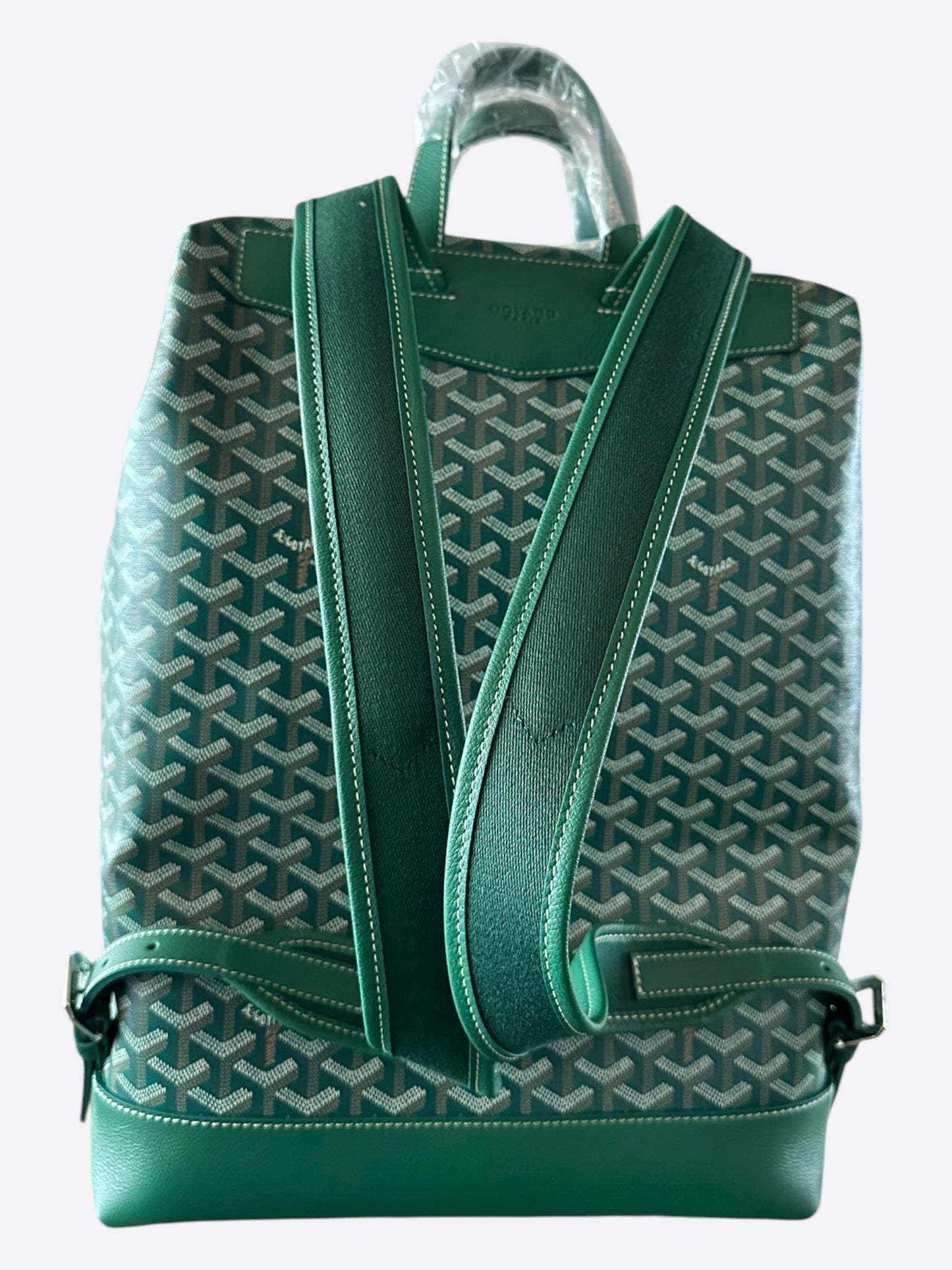 Goyard Green Cisalpin Backpack