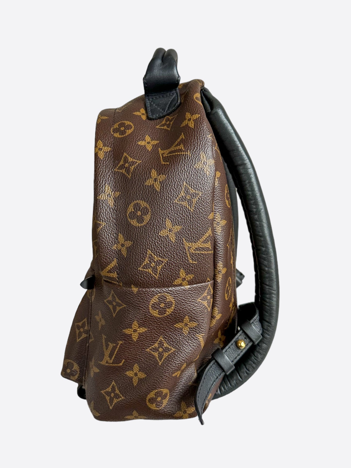 Louis Vuitton Brown Monogram Palm Springs Mini Backpack
