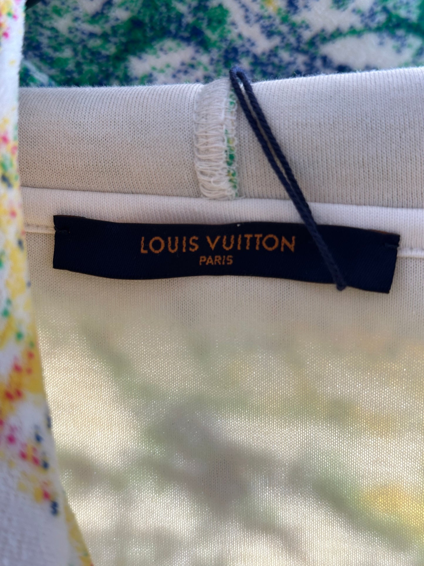 Louis Vuitton Multicolor Pastel Monogram Hoodie