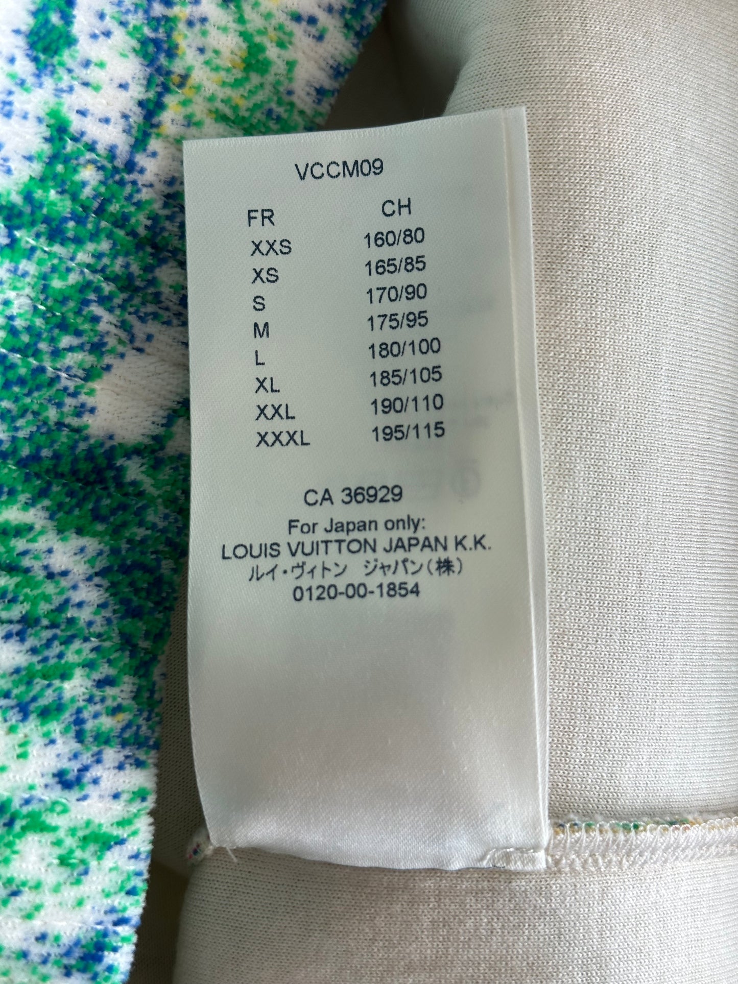 Louis Vuitton Multicolor Pastel Monogram Hoodie