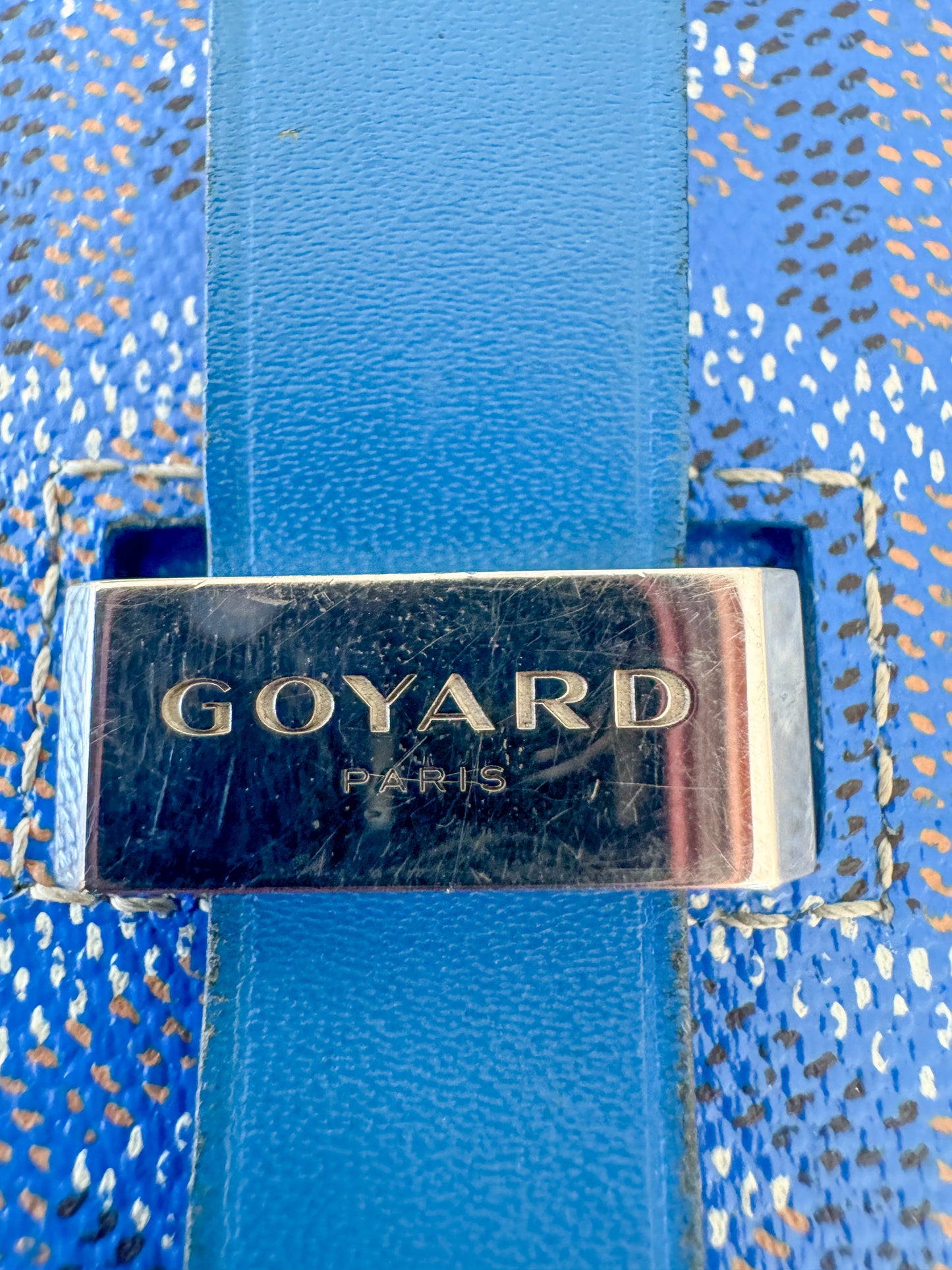 Goyard Sky Blue Belvedere MM1