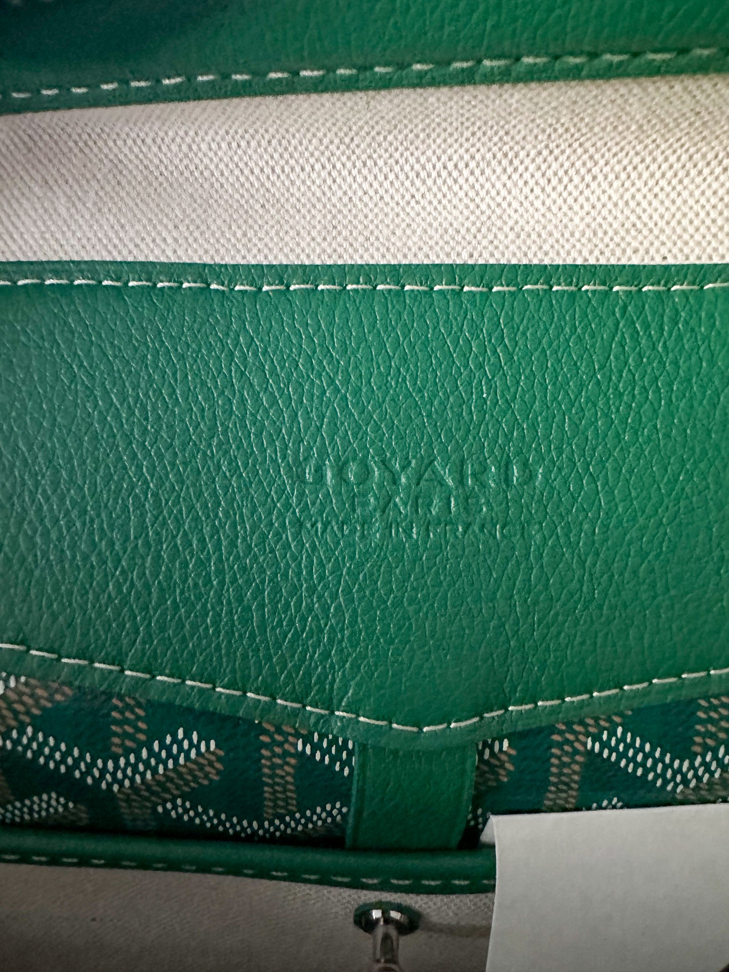 Goyard Green Cisalpin Backpack