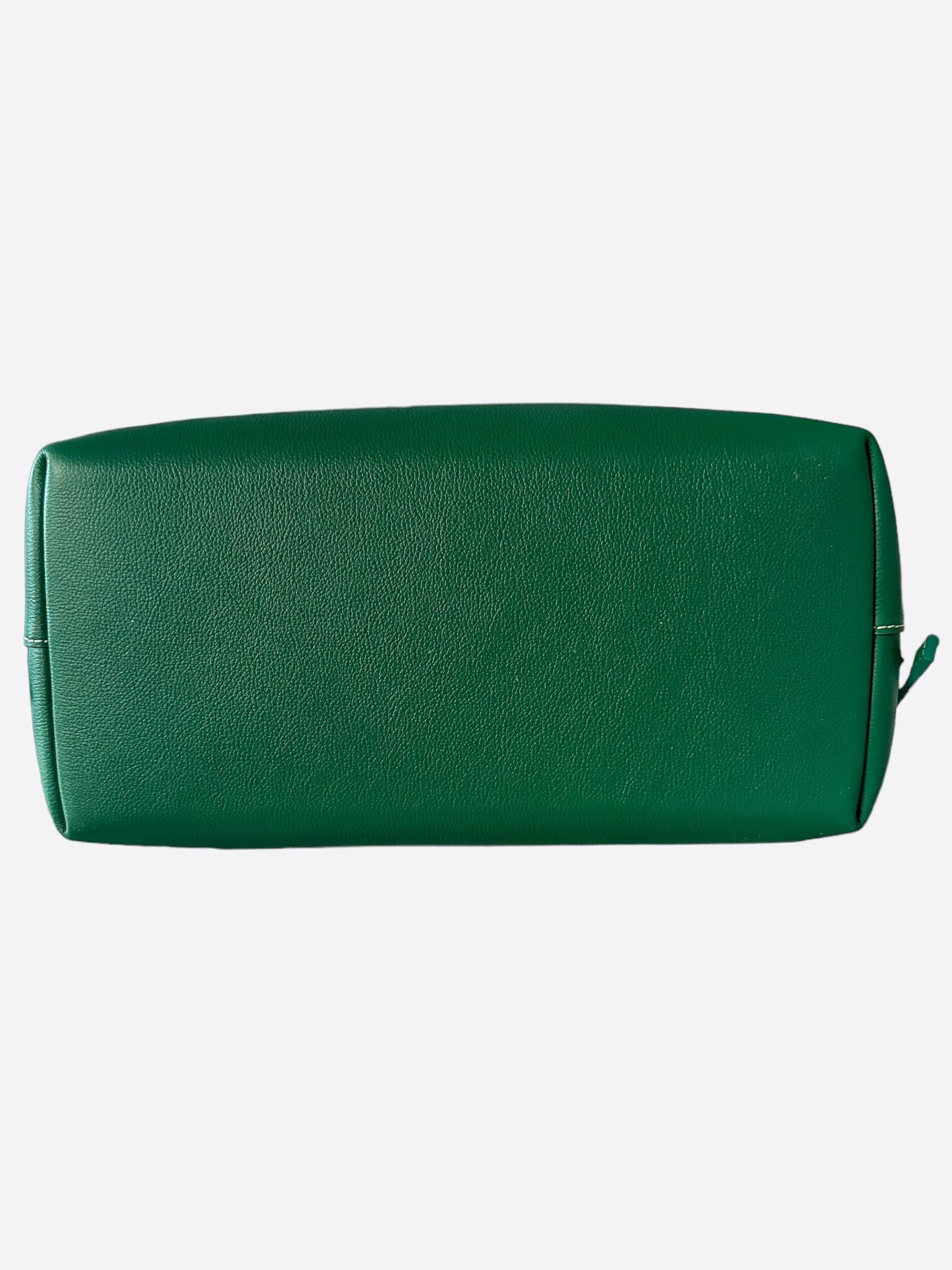 Goyard Green Cisalpin Backpack