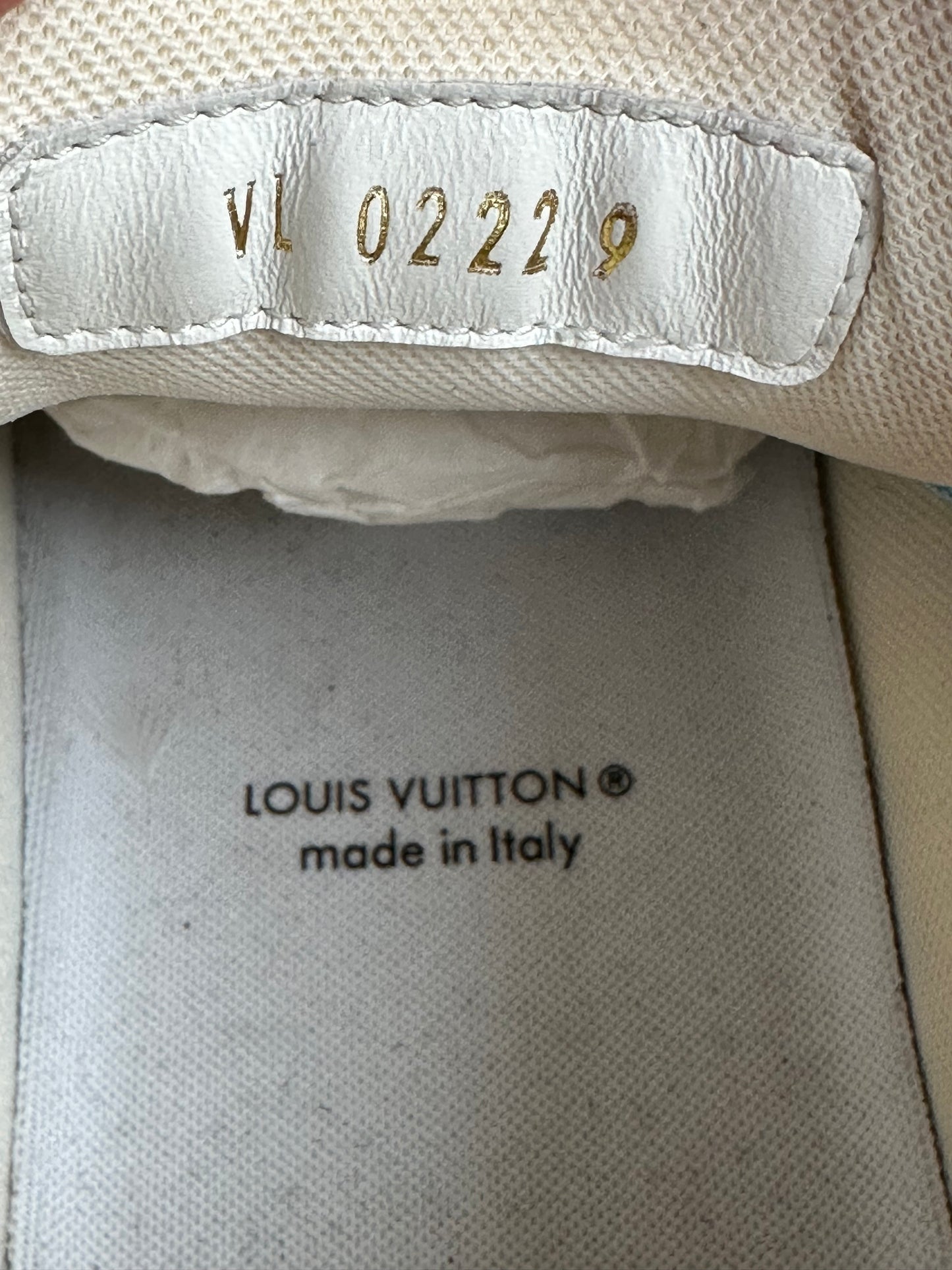 Louis Vuitton Blue & White Monogram Trainers