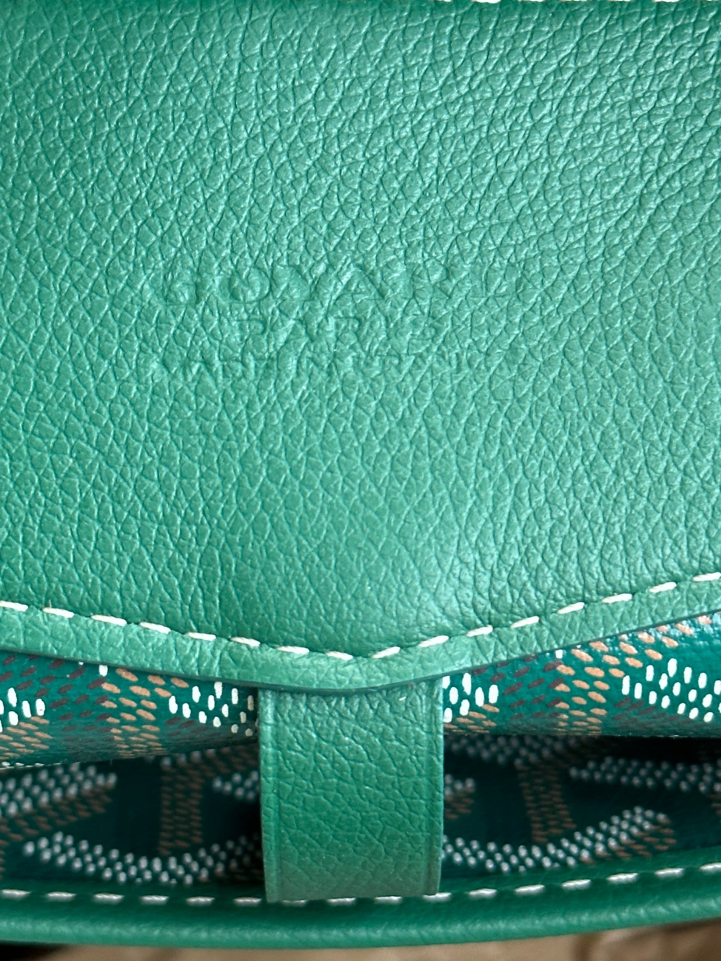 Goyard Green Cisalpin Backpack