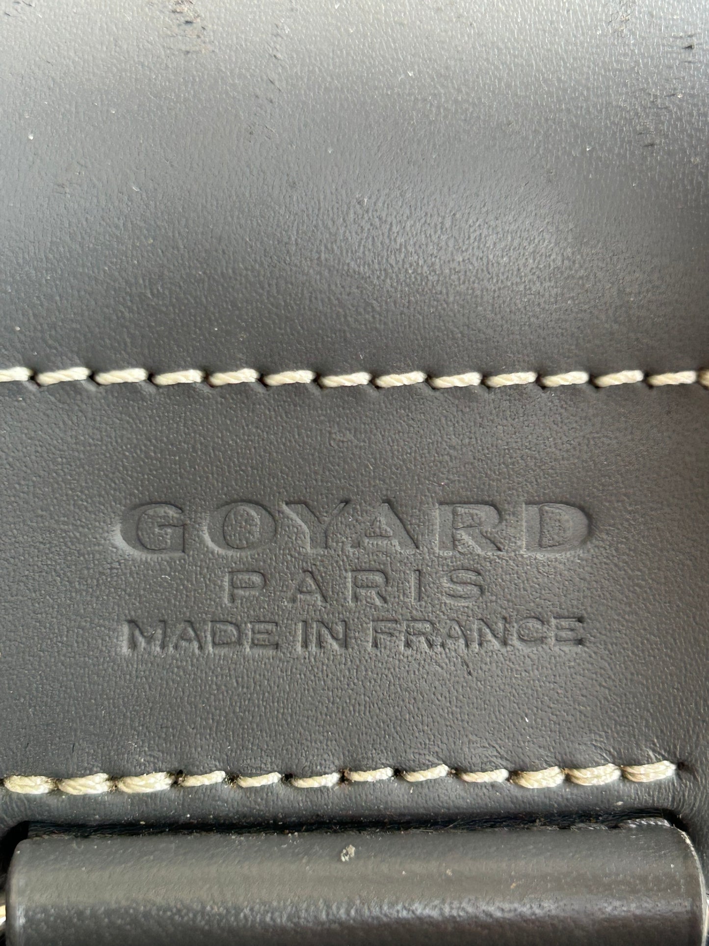 Goyard Grey Alpin Backpack