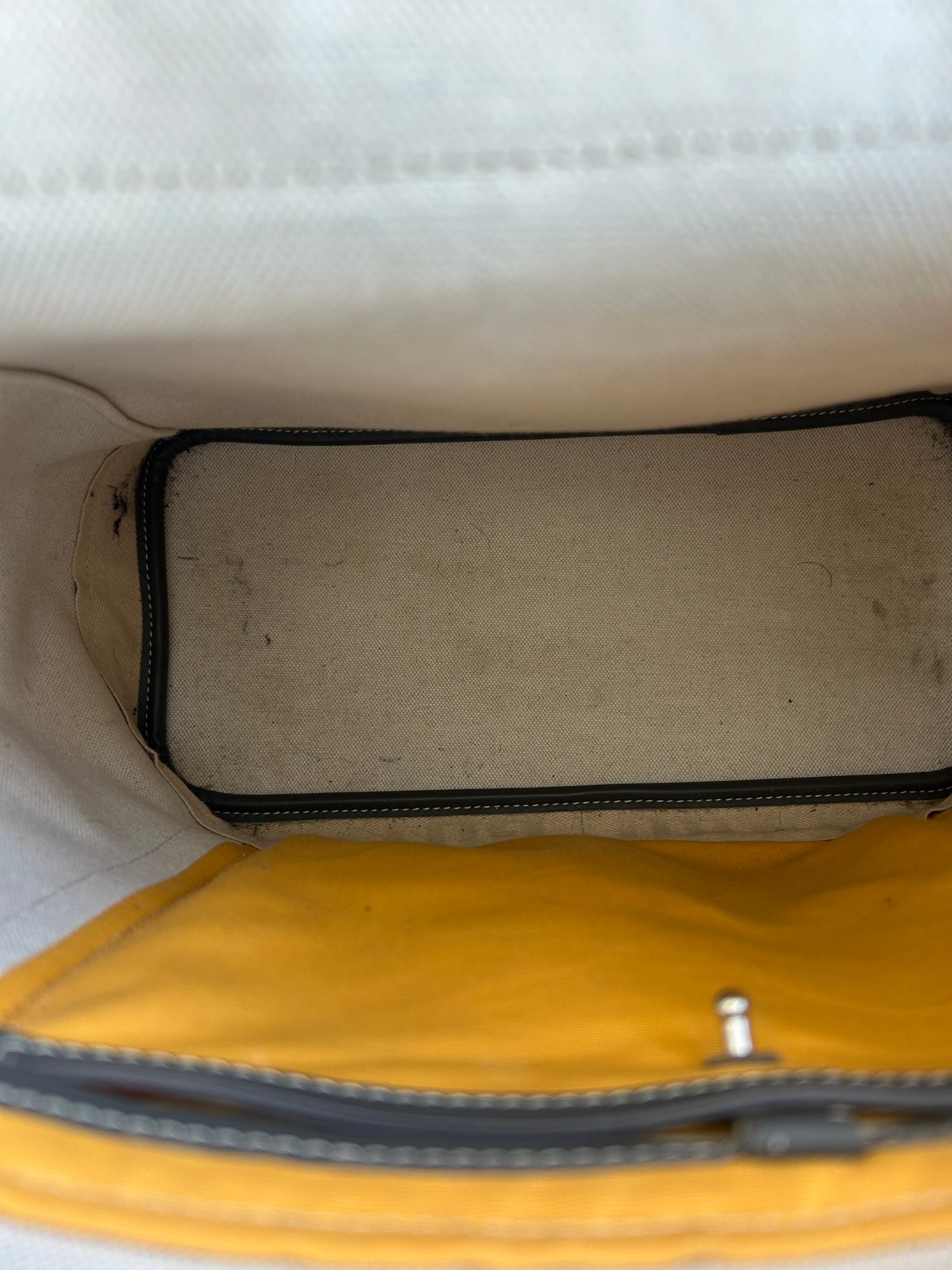 Goyard Grey Alpin Backpack