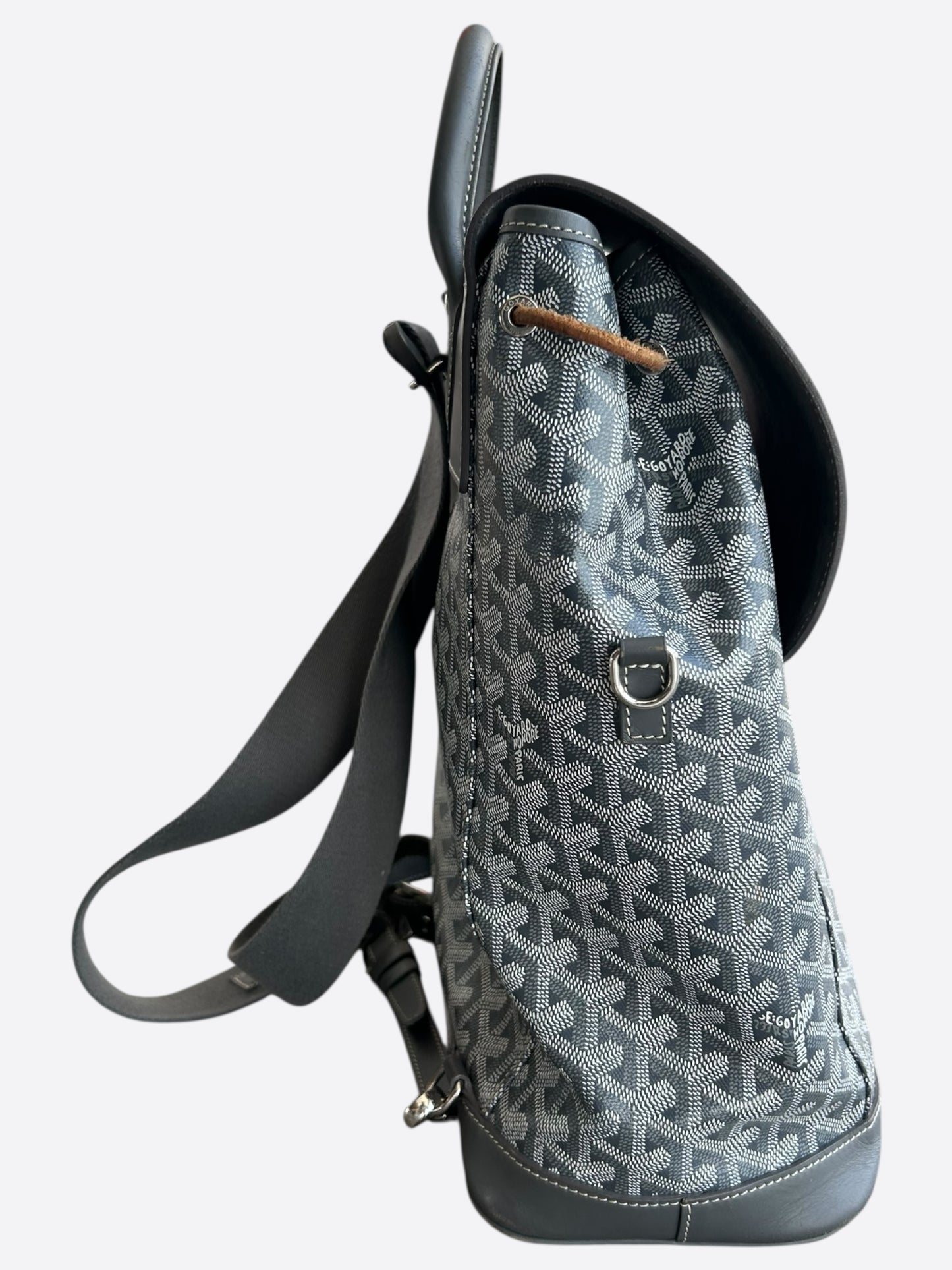 Goyard Grey Alpin Backpack