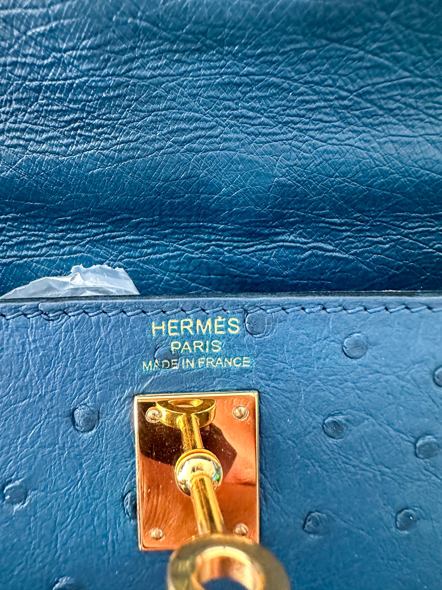 Hermès Blue Ostrich Kelly 25