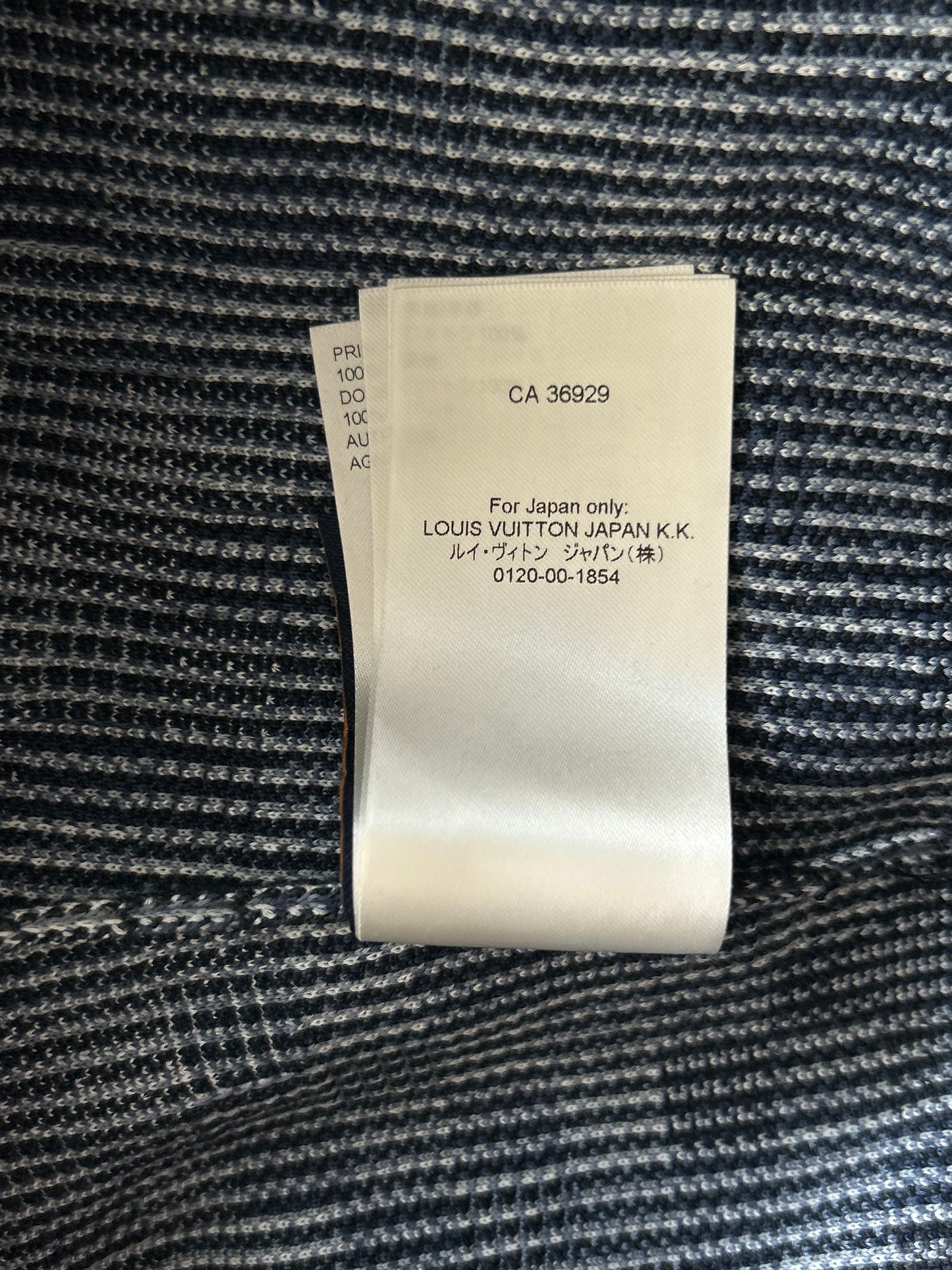 Louis Vuitton Blue Damoflage Shorts