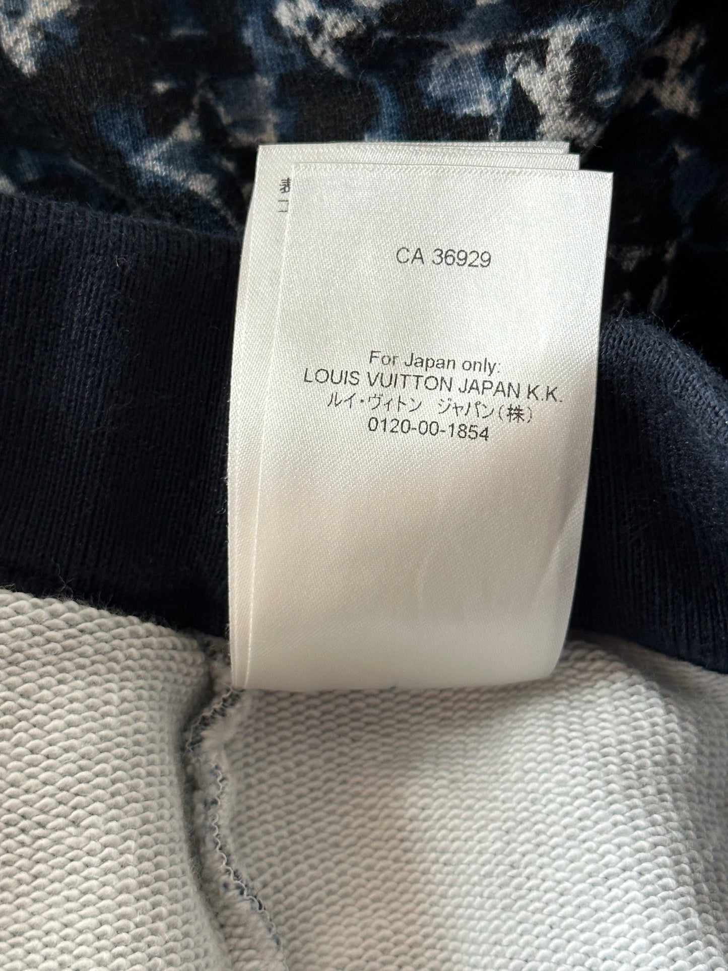 Louis Vuitton Blue Pointillism Monogram Shorts