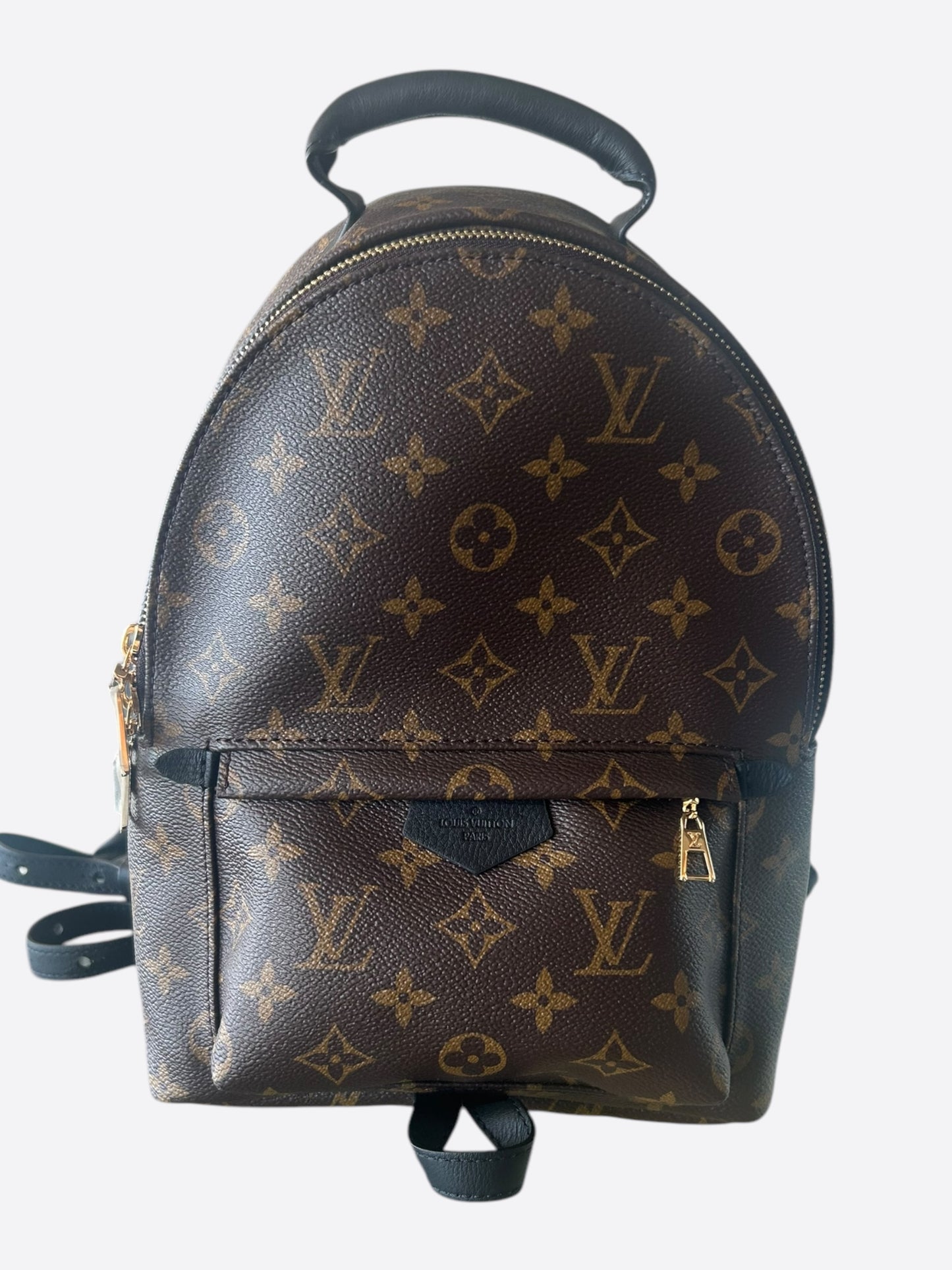 Louis Vuitton Brown Monogram Palm Springs Mini Backpack