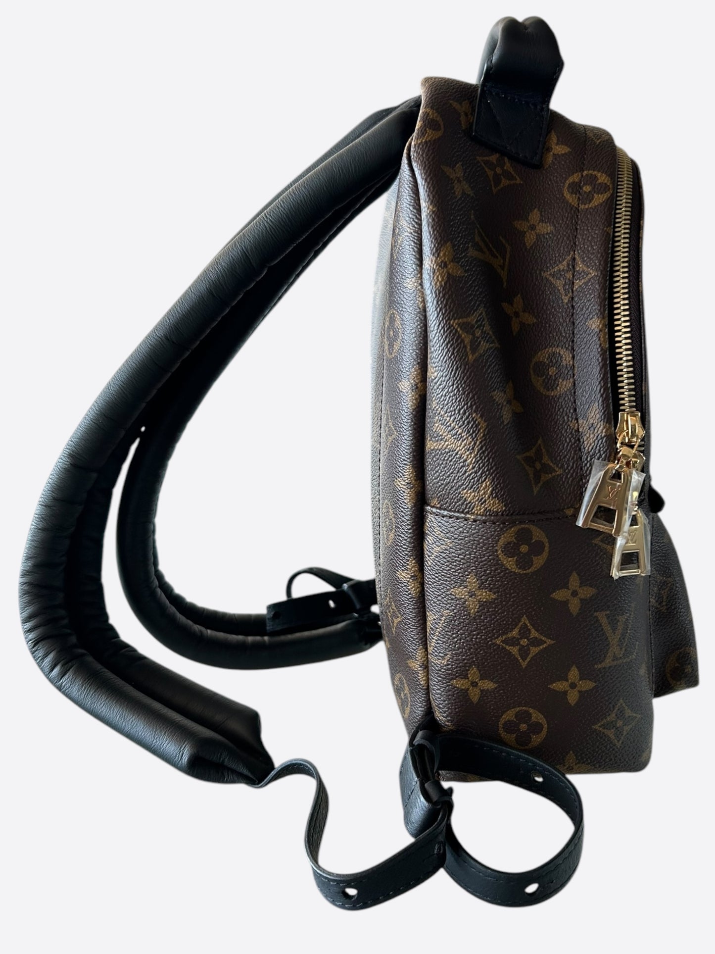 Louis Vuitton Brown Monogram Palm Springs Mini Backpack