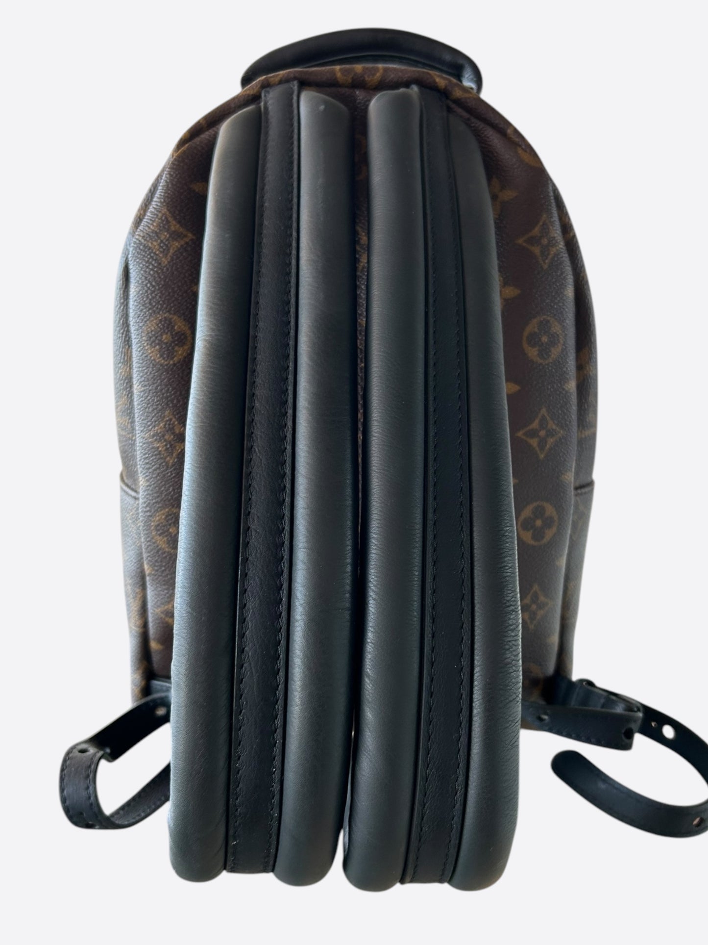 Louis Vuitton Brown Monogram Palm Springs Mini Backpack