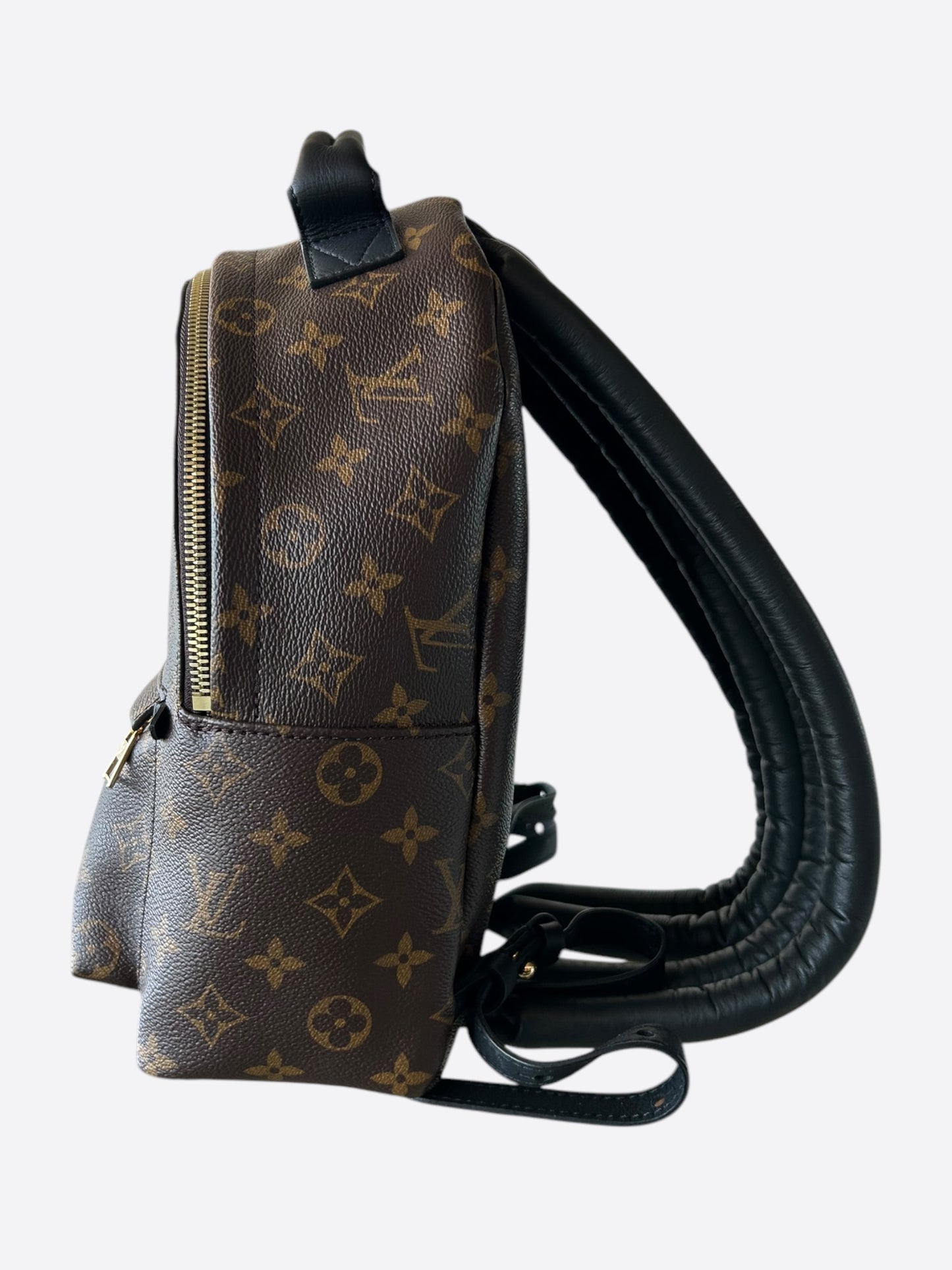 Louis Vuitton Brown Monogram Palm Springs Mini Backpack