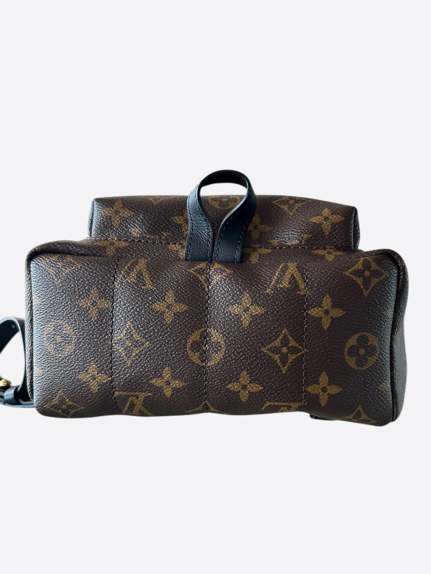 Louis Vuitton Brown Monogram Palm Springs Mini Backpack