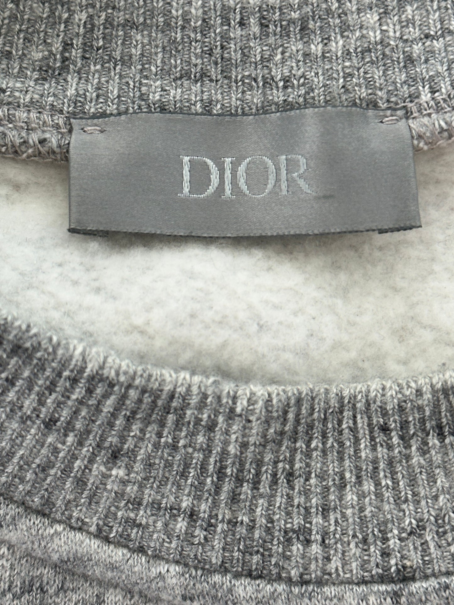 Dior Sorayama Grey Dinosaur Logo Sweater