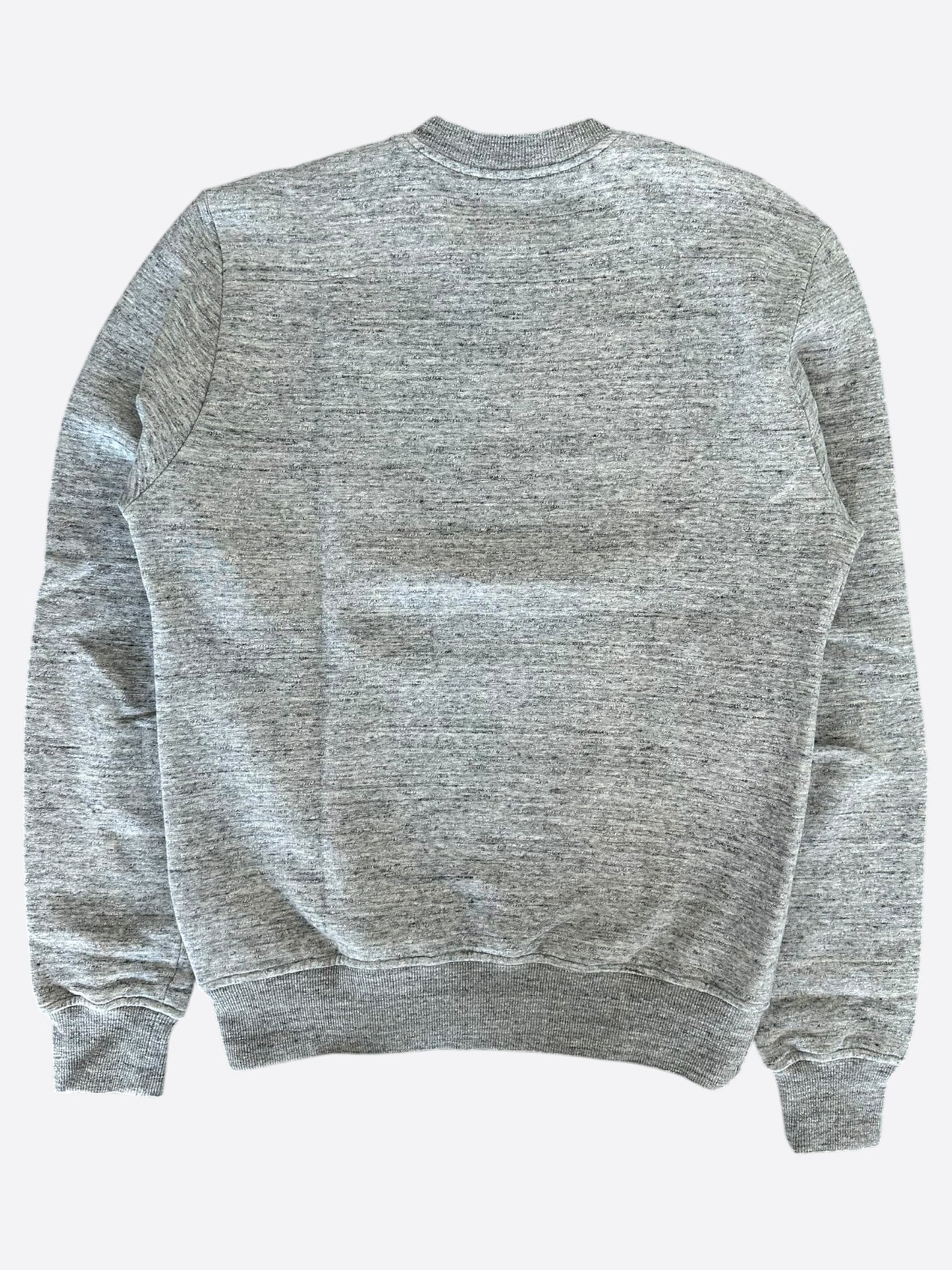 Dior Sorayama Grey Dinosaur Logo Sweater
