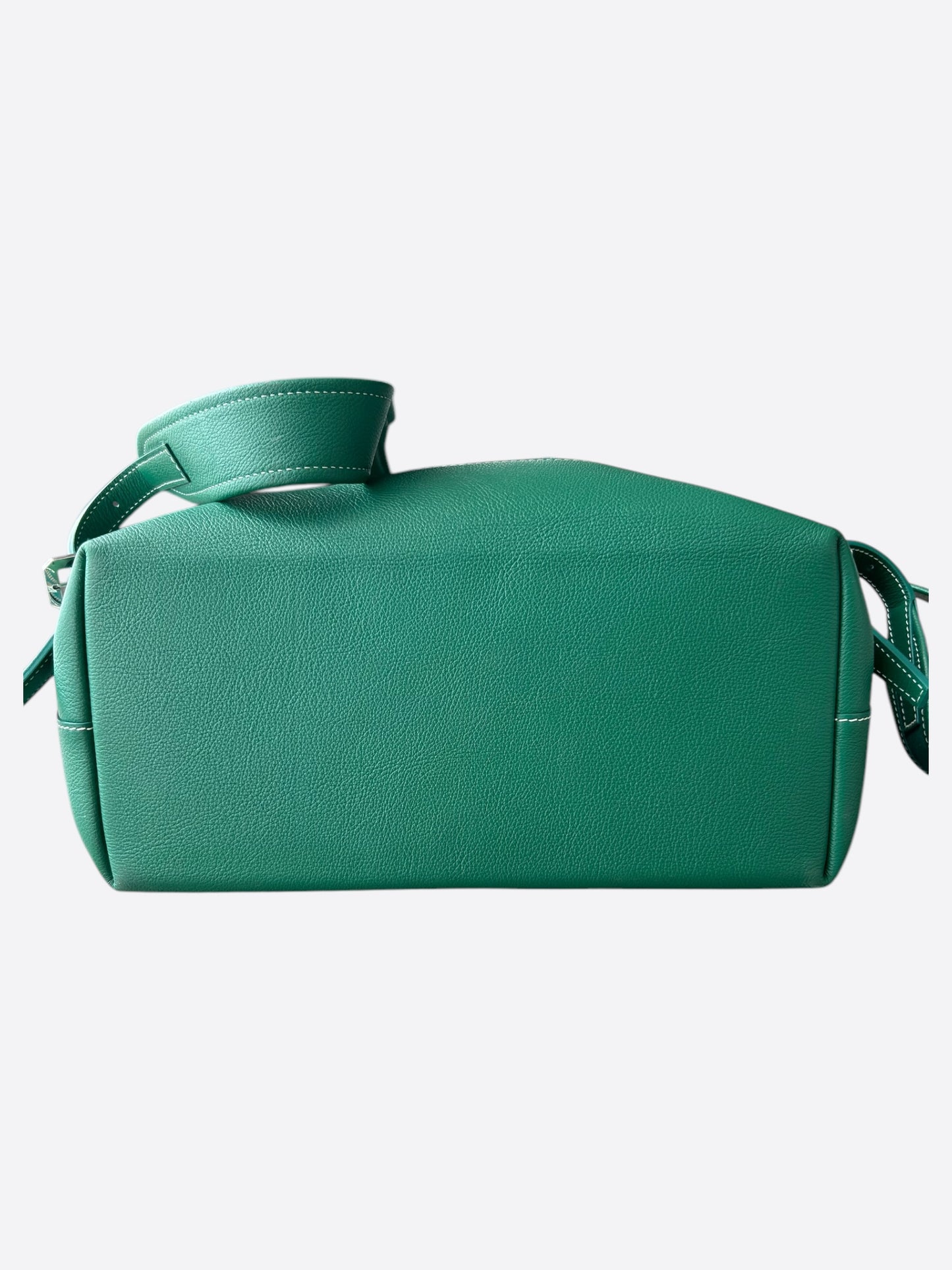 Goyard Green Cisalpin Backpack