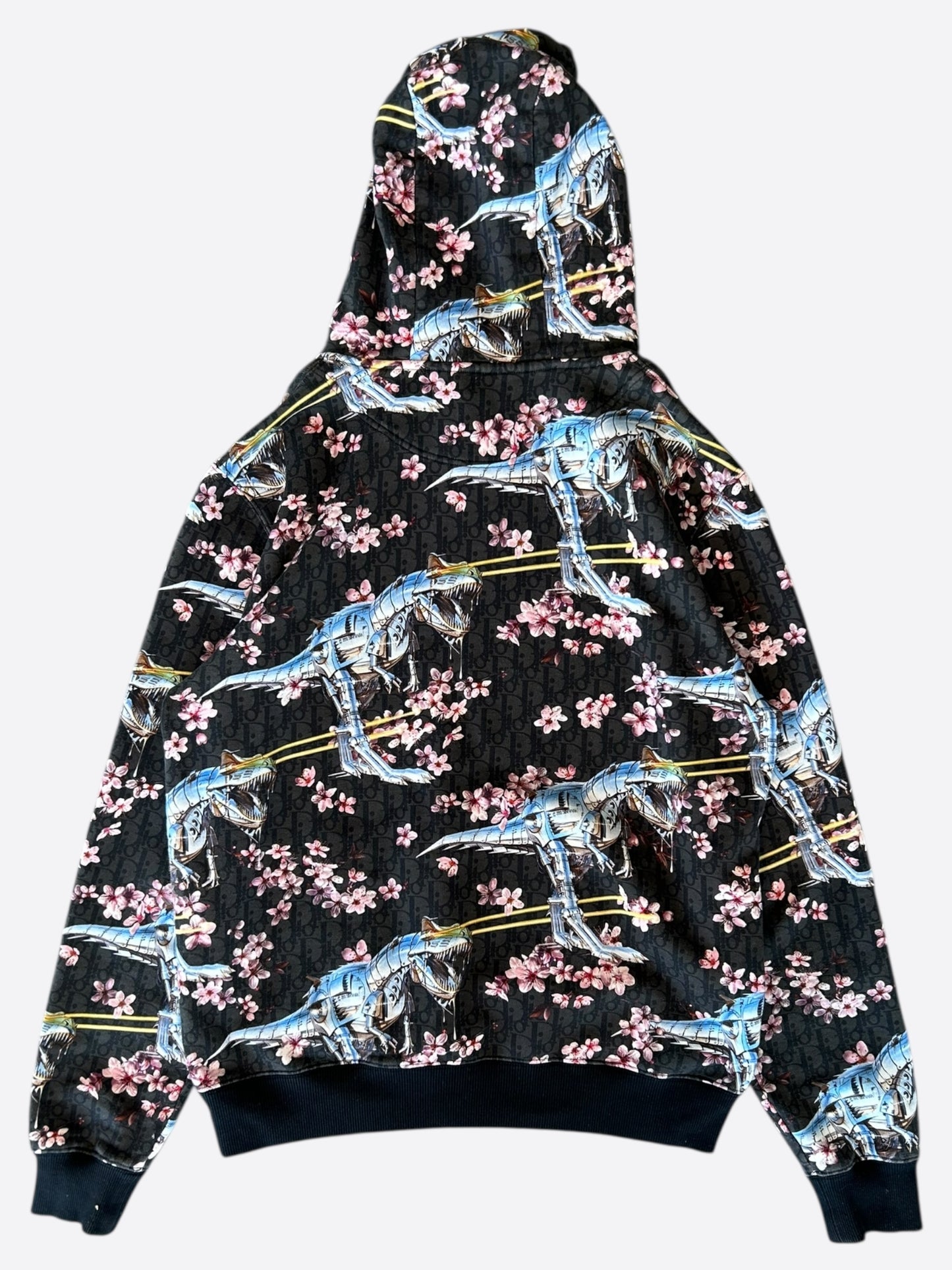 Dior Sorayama Black Dinosaur Oblique Hoodie