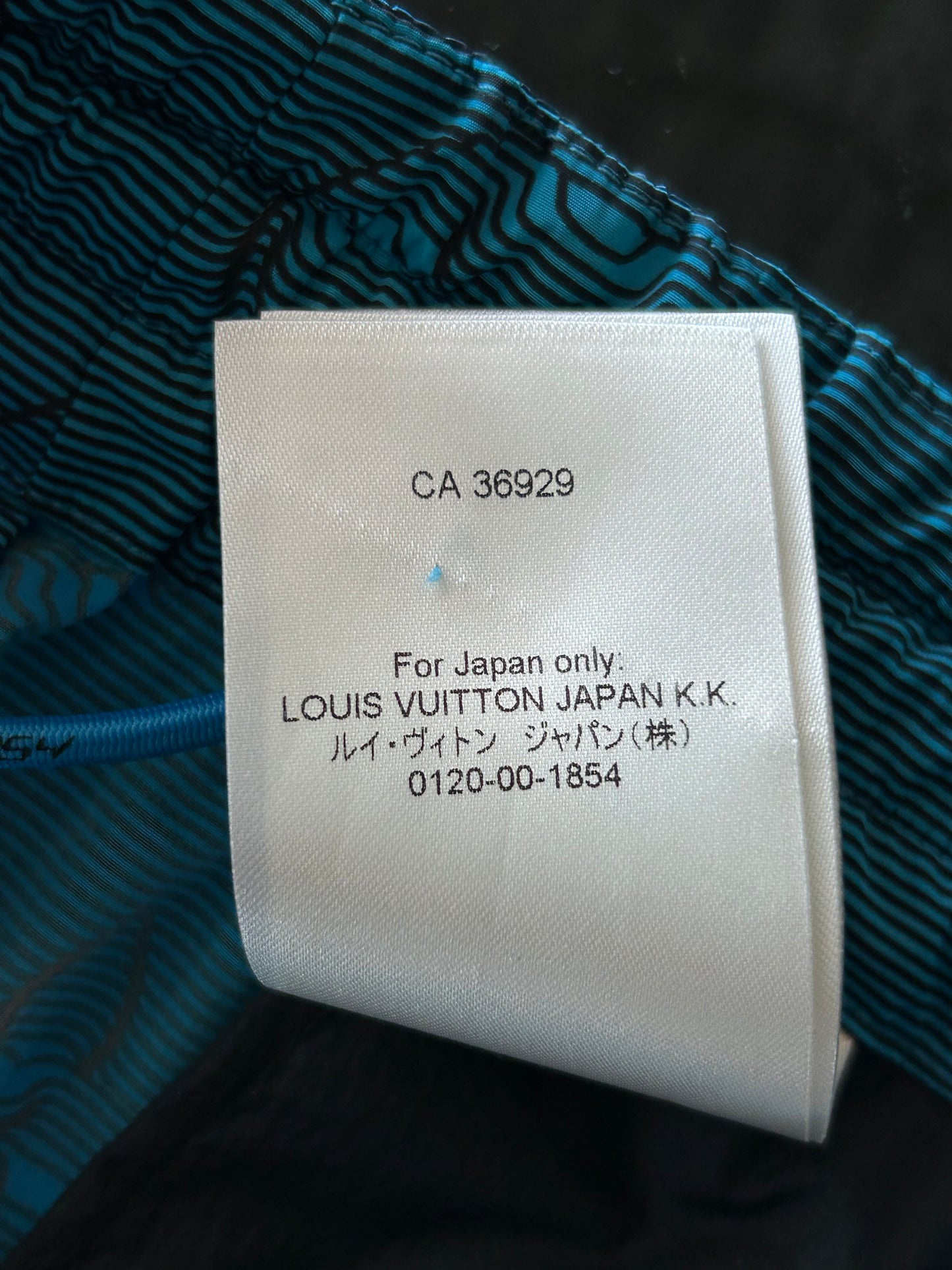Louis Vuitton Blue 2054 Monogram Cargo Pants