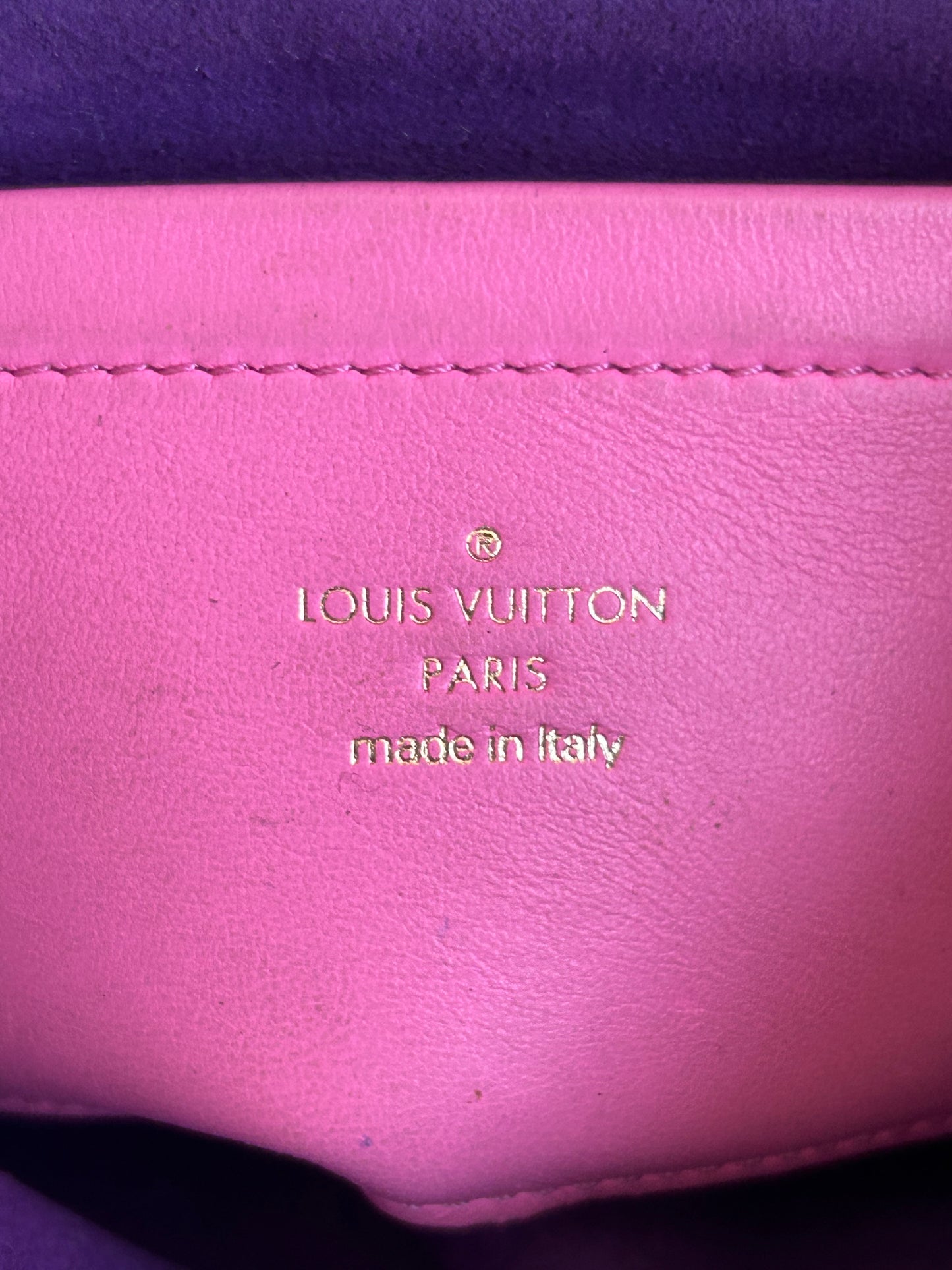 Louis Vuitton Pink & Purple Monogram Pochette Coussin