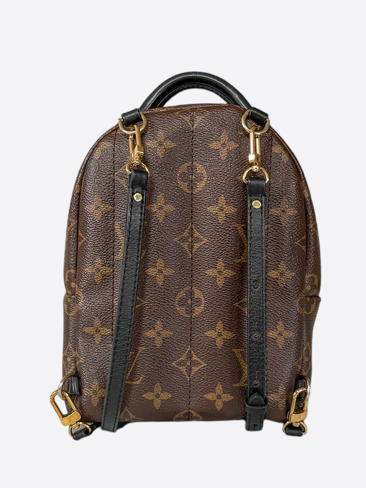 Louis Vuitton Brown Monogram Palm Springs Mini Backpack