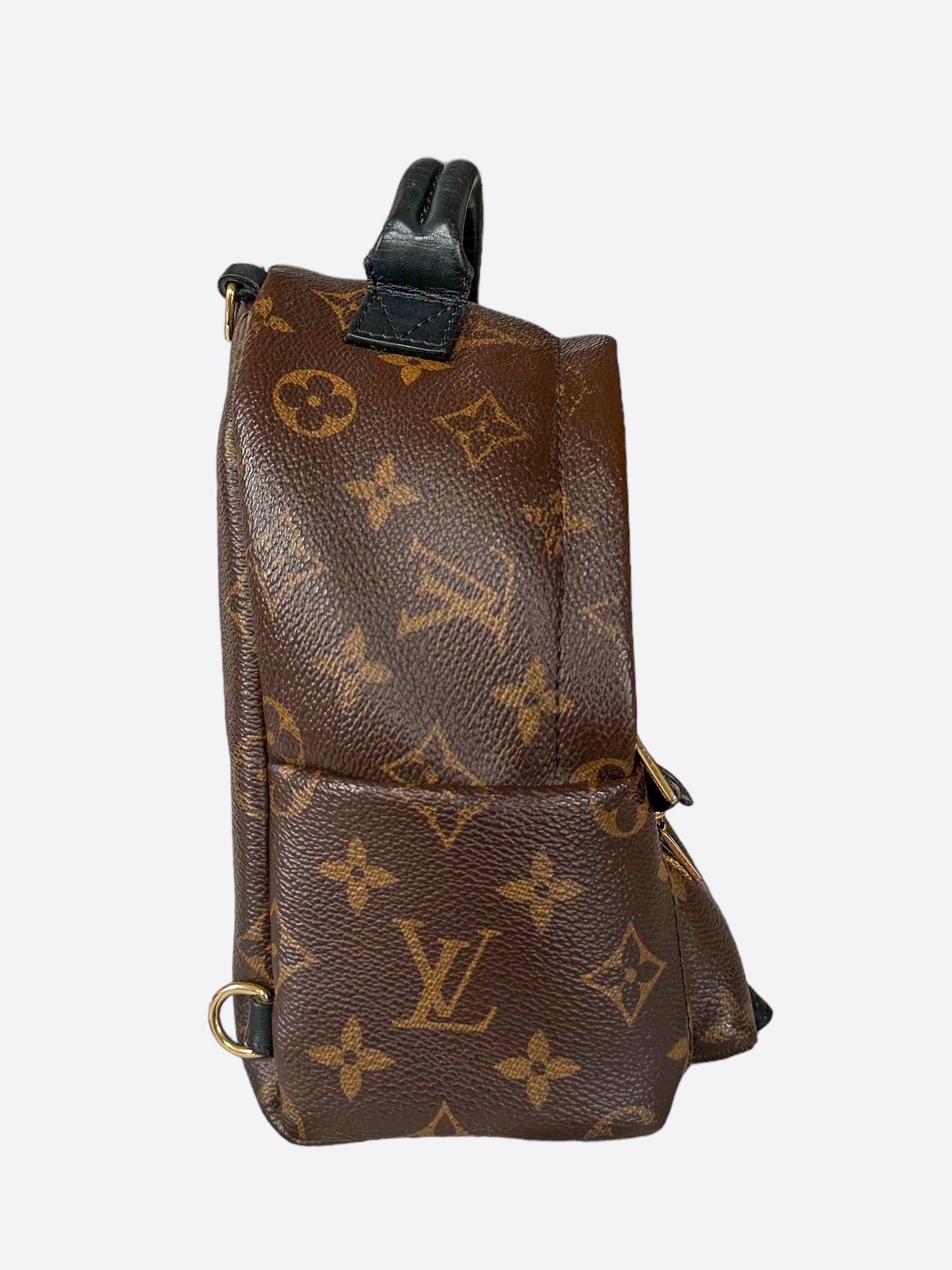 Louis Vuitton Brown Monogram Palm Springs Mini Backpack