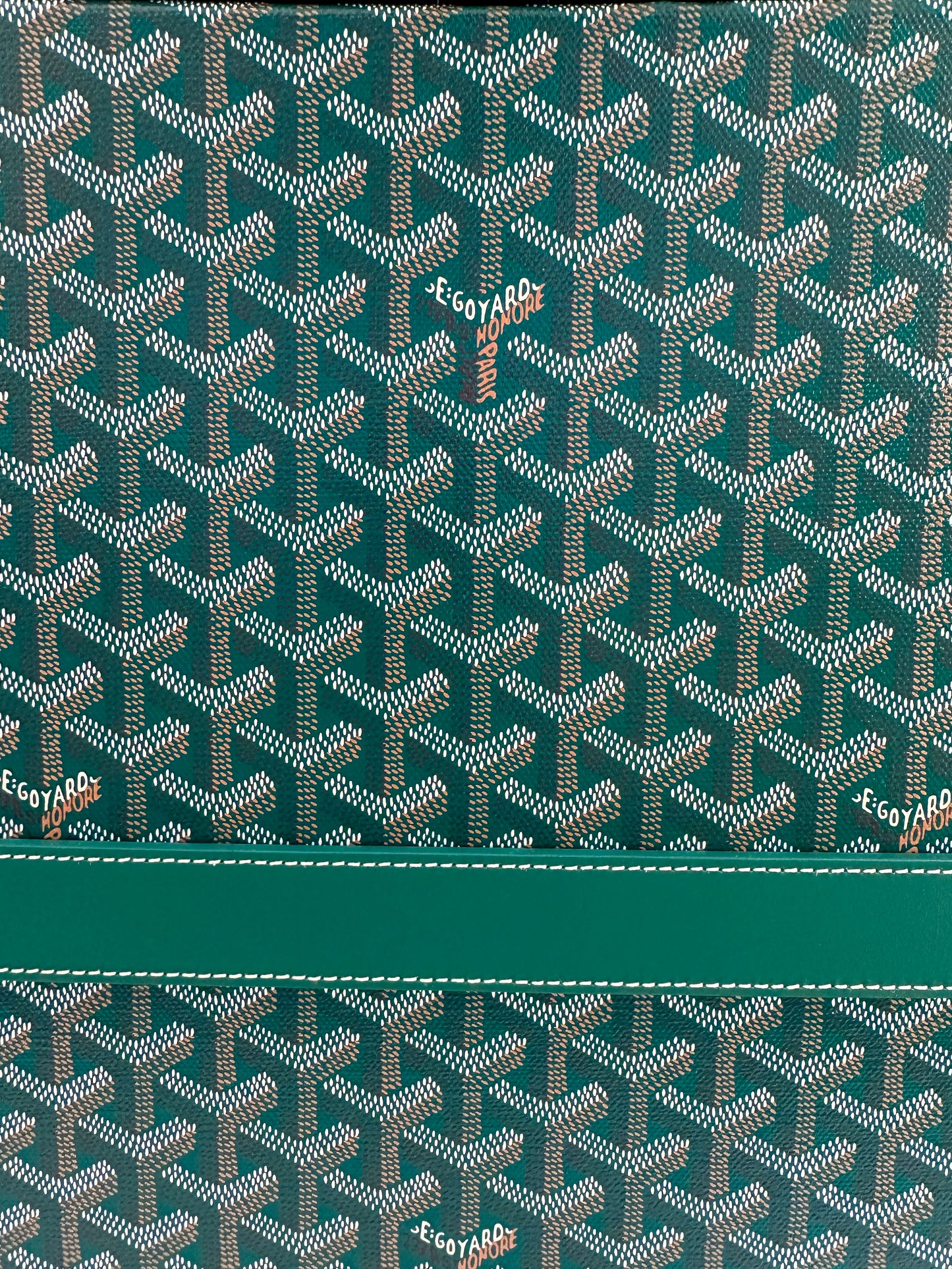 Goyard Green Bourget PM Trolley Case