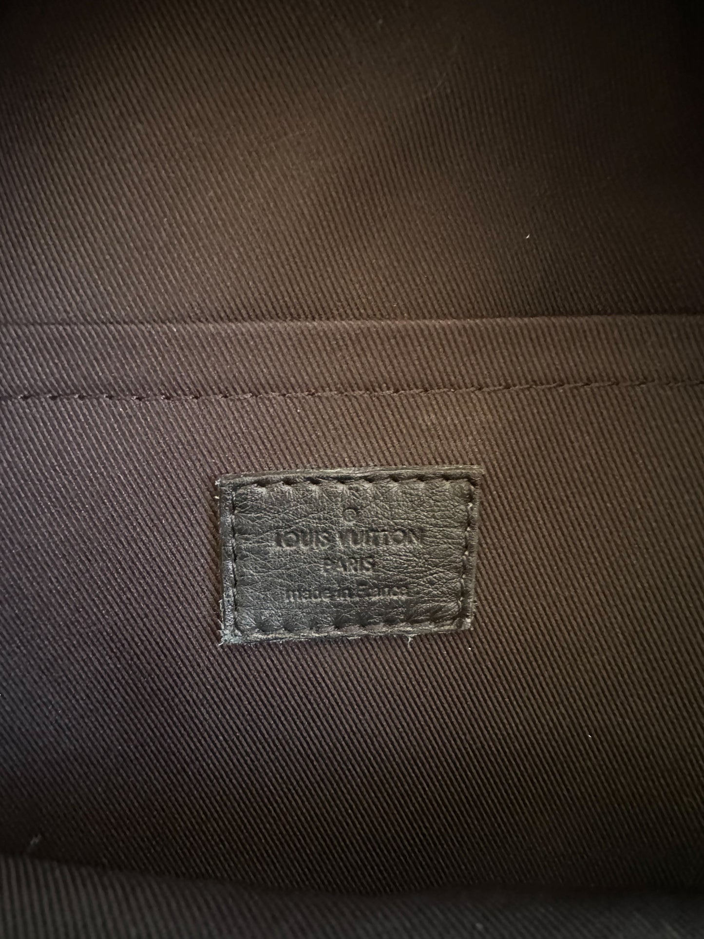 Louis Vuitton Brown Monogram Palm Springs Mini Backpack