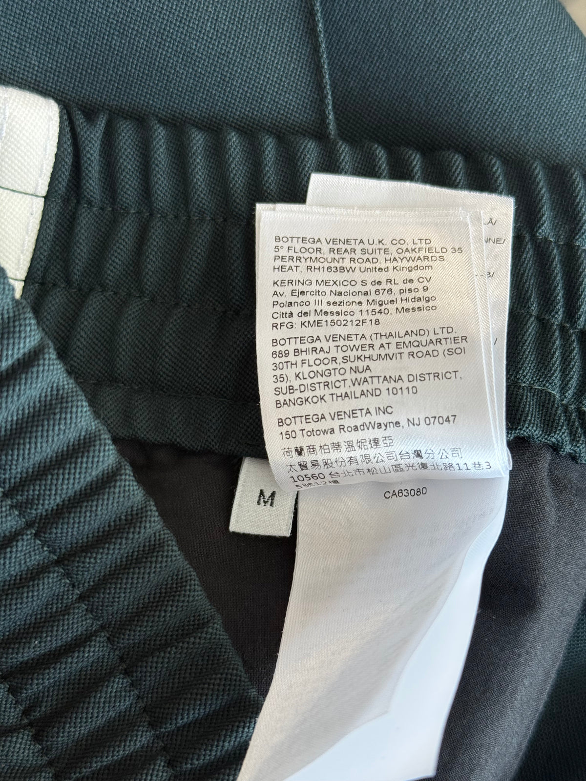 Bottega Veneta Green & White Striped Pleated Pants