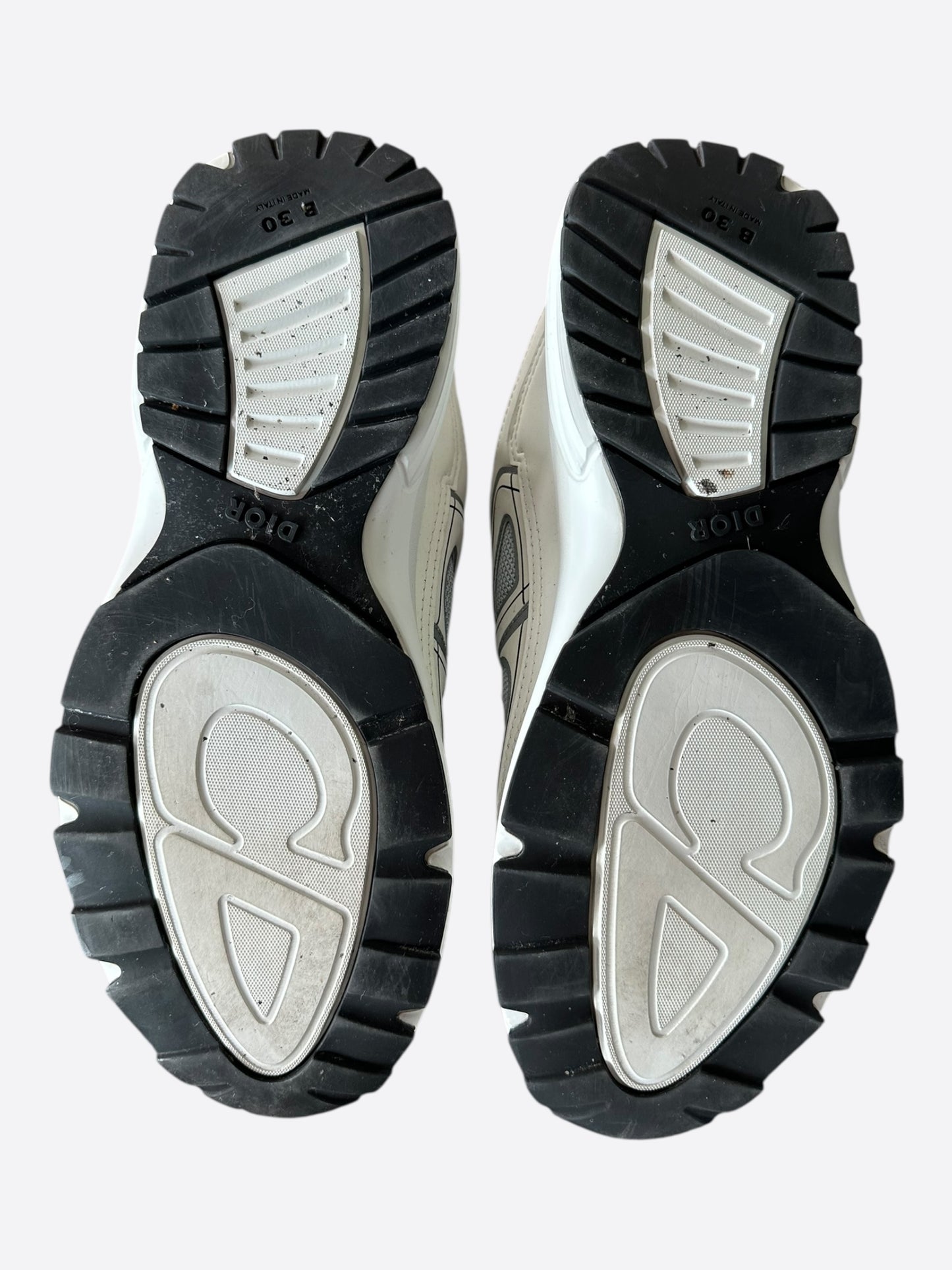 Dior White & Grey B30 Sneakers