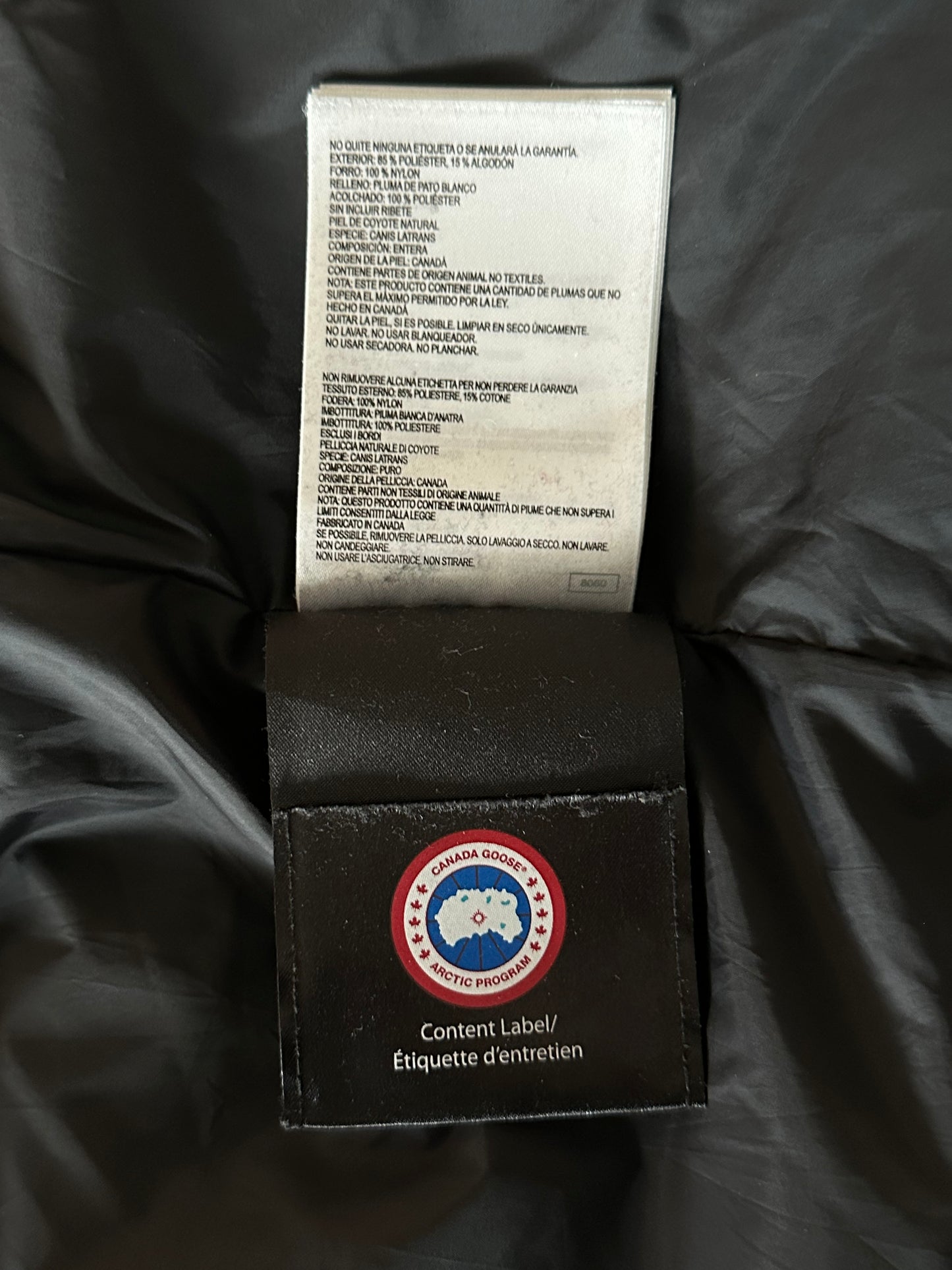 Canada Goose Sea Green Carson Men's Jacket