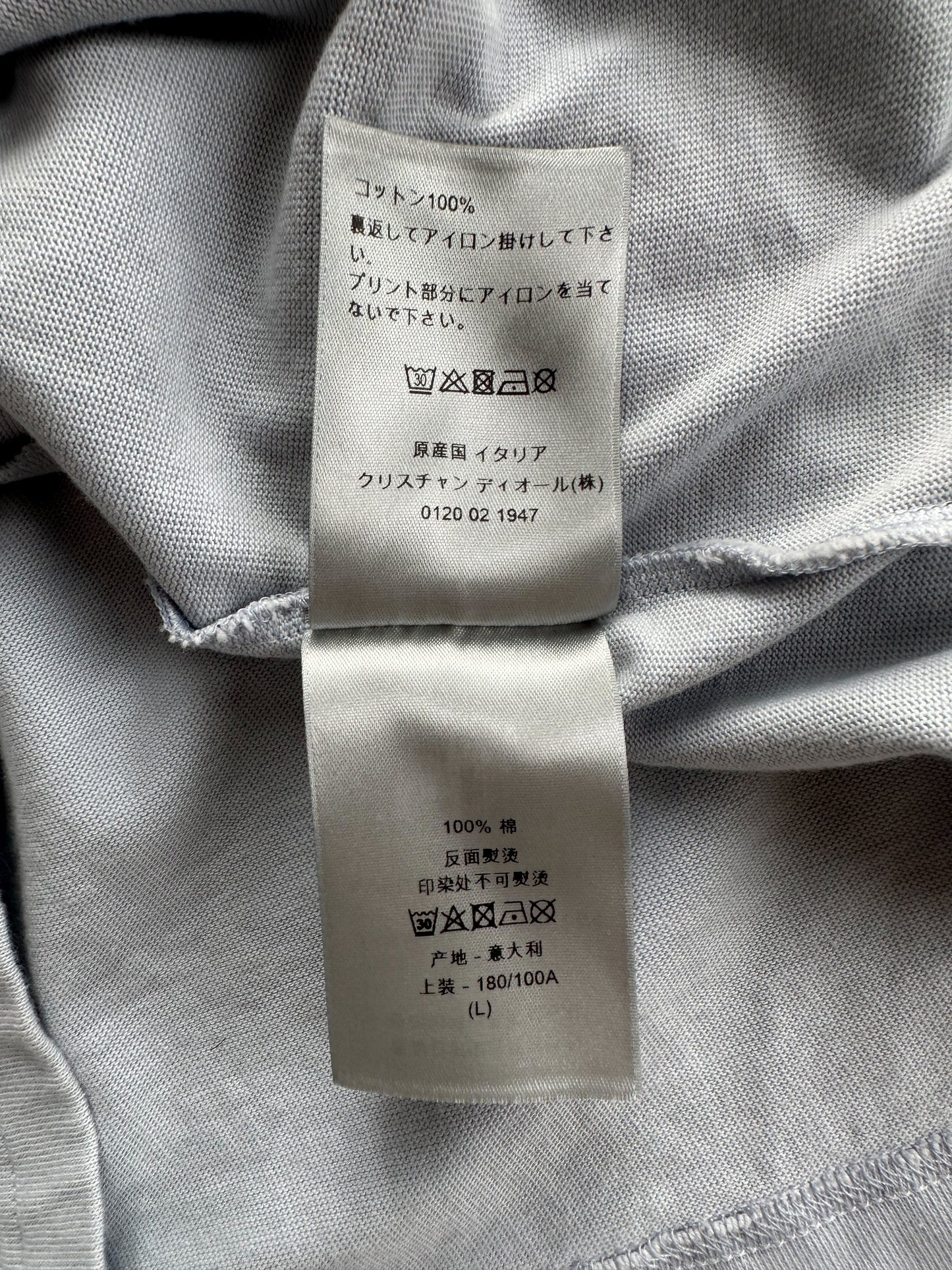 Dior Alex Fonton Blue Flower T-Shirt