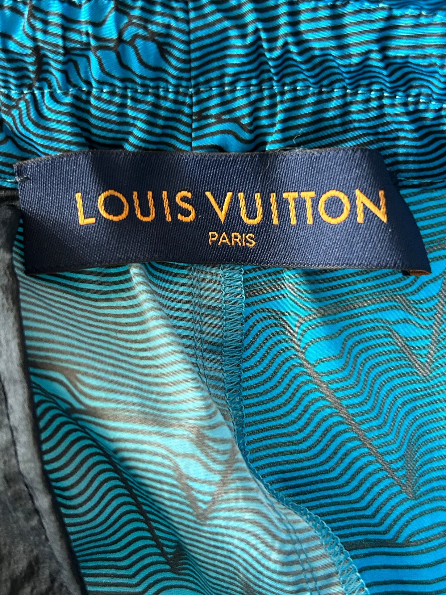Louis Vuitton Blue 2054 Monogram Cargo Pants