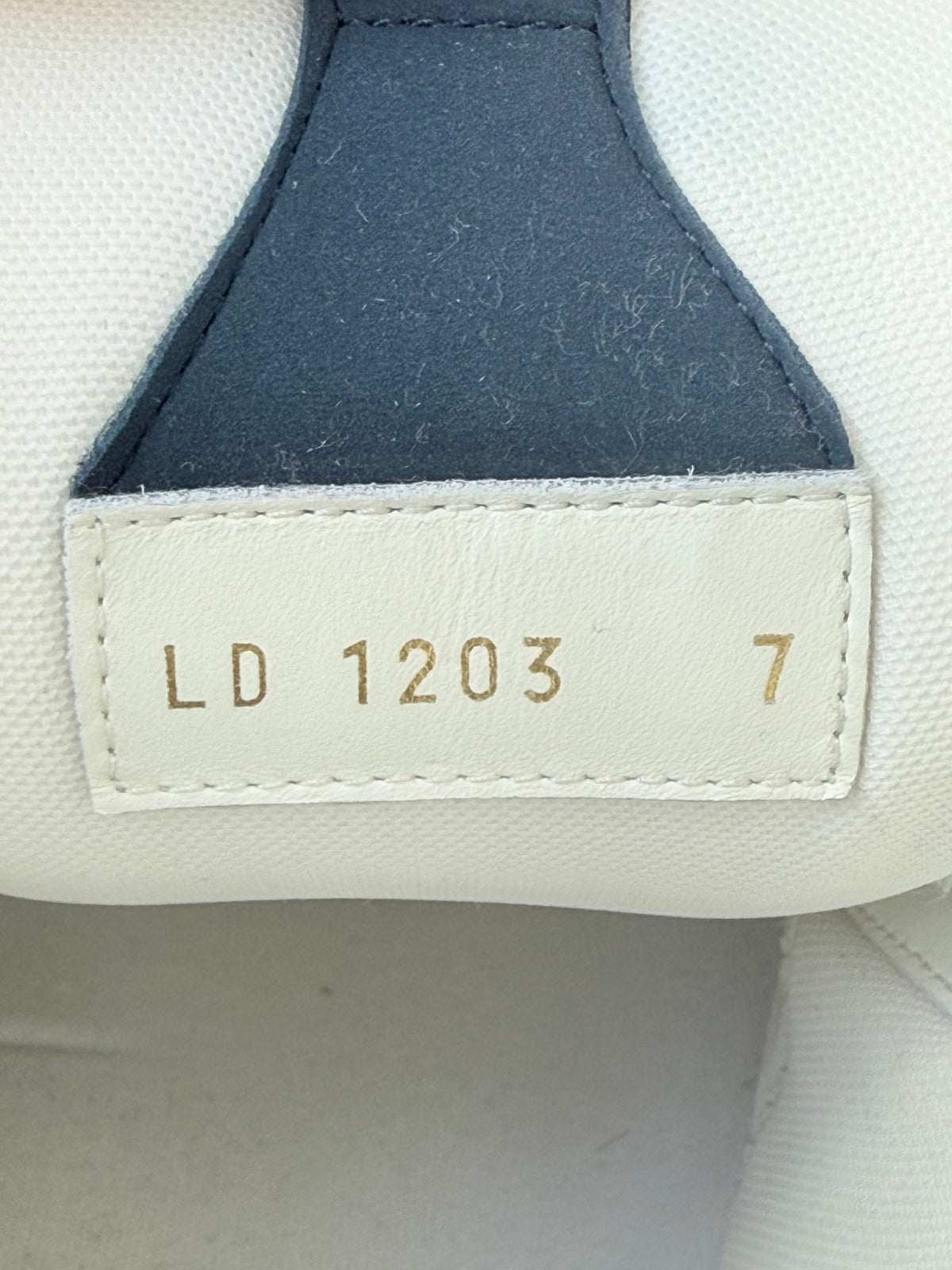 Louis Vuitton Navy & White Skate Trainers